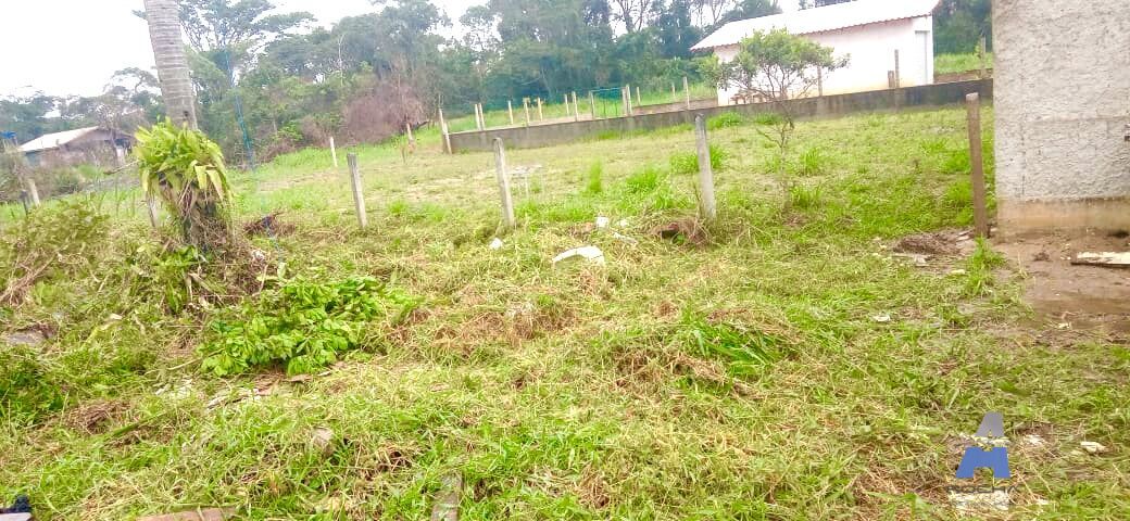 Terreno, 300 m² - Foto 5