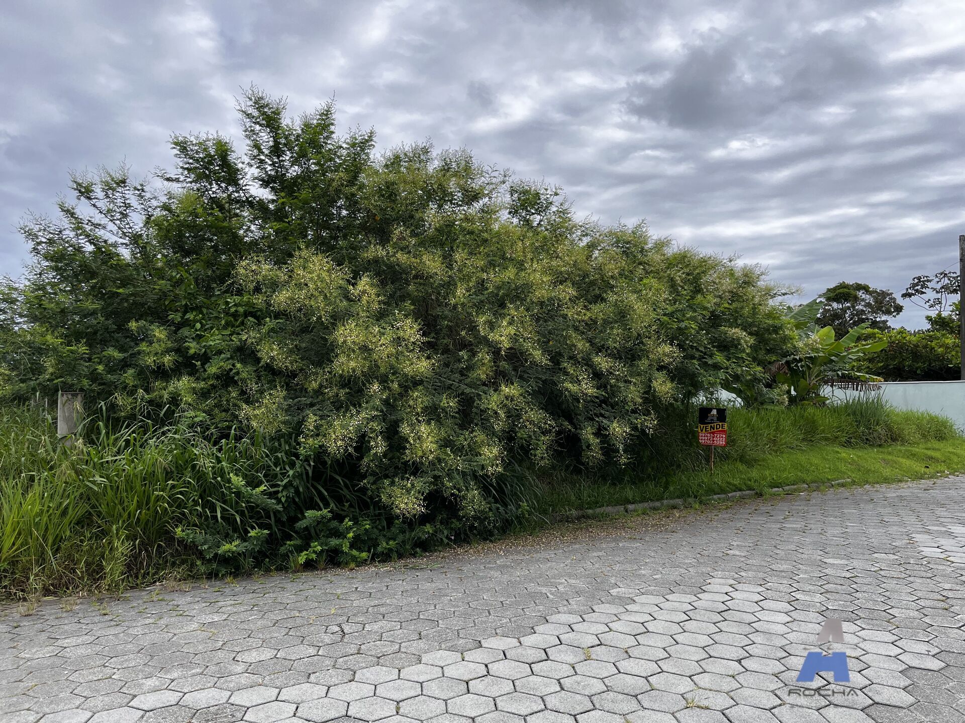 Terreno, 360 m² - Foto 4