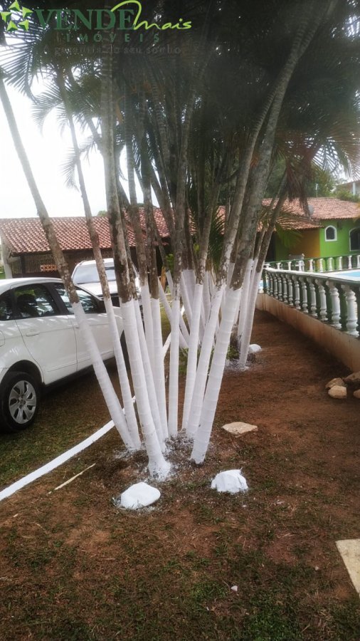 Fazenda à venda com 4 quartos, 1600m² - Foto 7