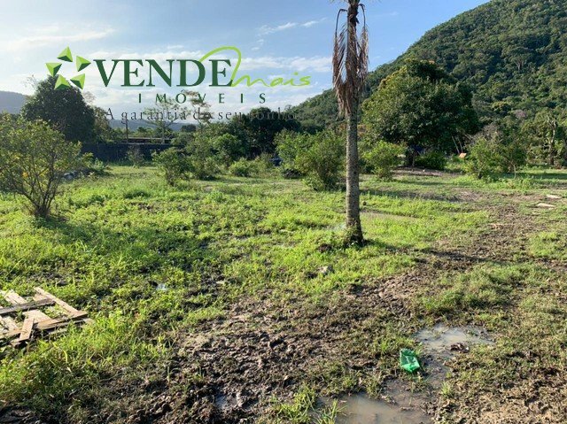 Terreno à venda, 3000m² - Foto 2