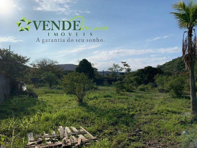 Terreno à venda, 3000m² - Foto 3