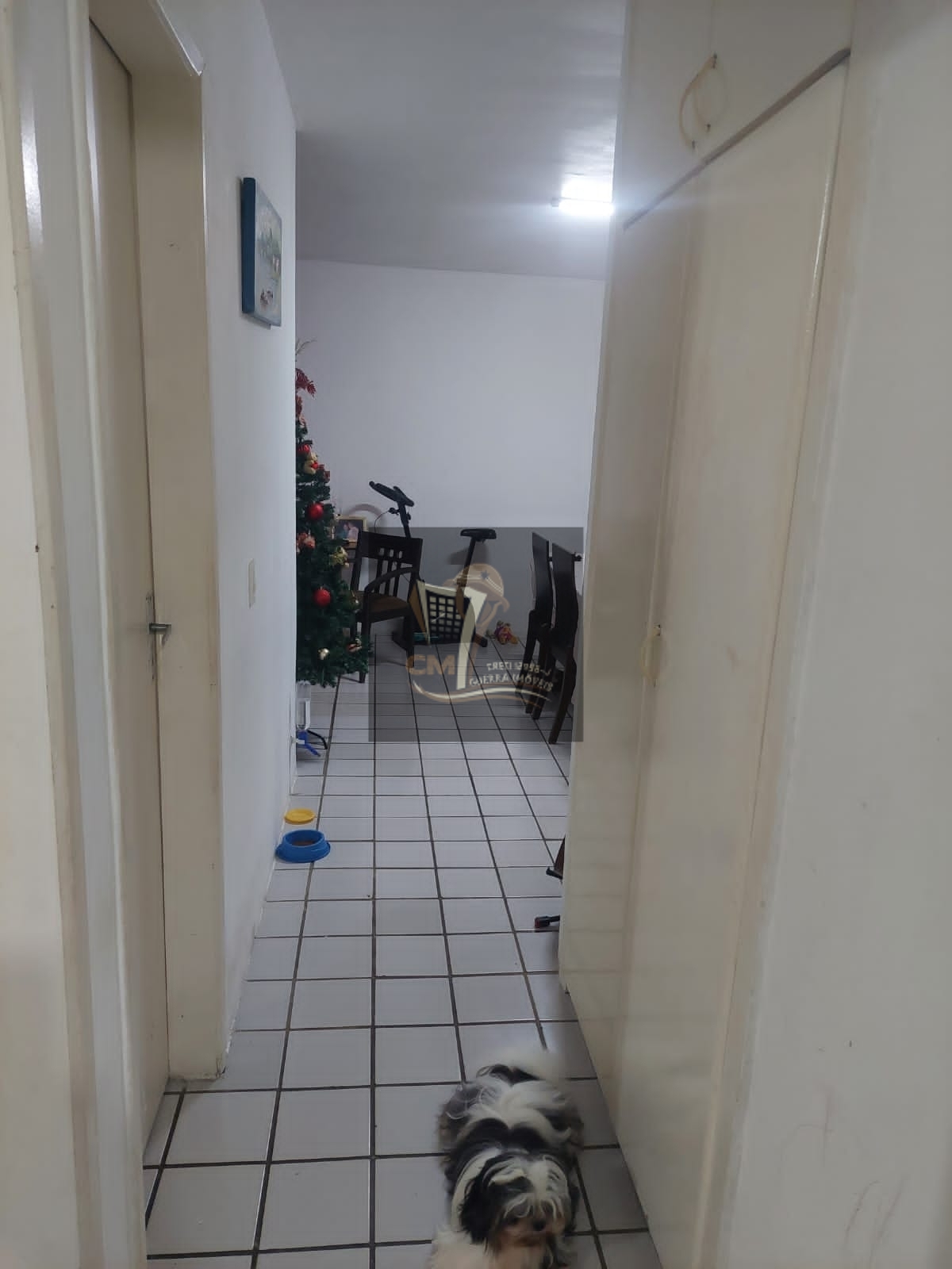 Apartamento à venda com 3 quartos, 87m² - Foto 12