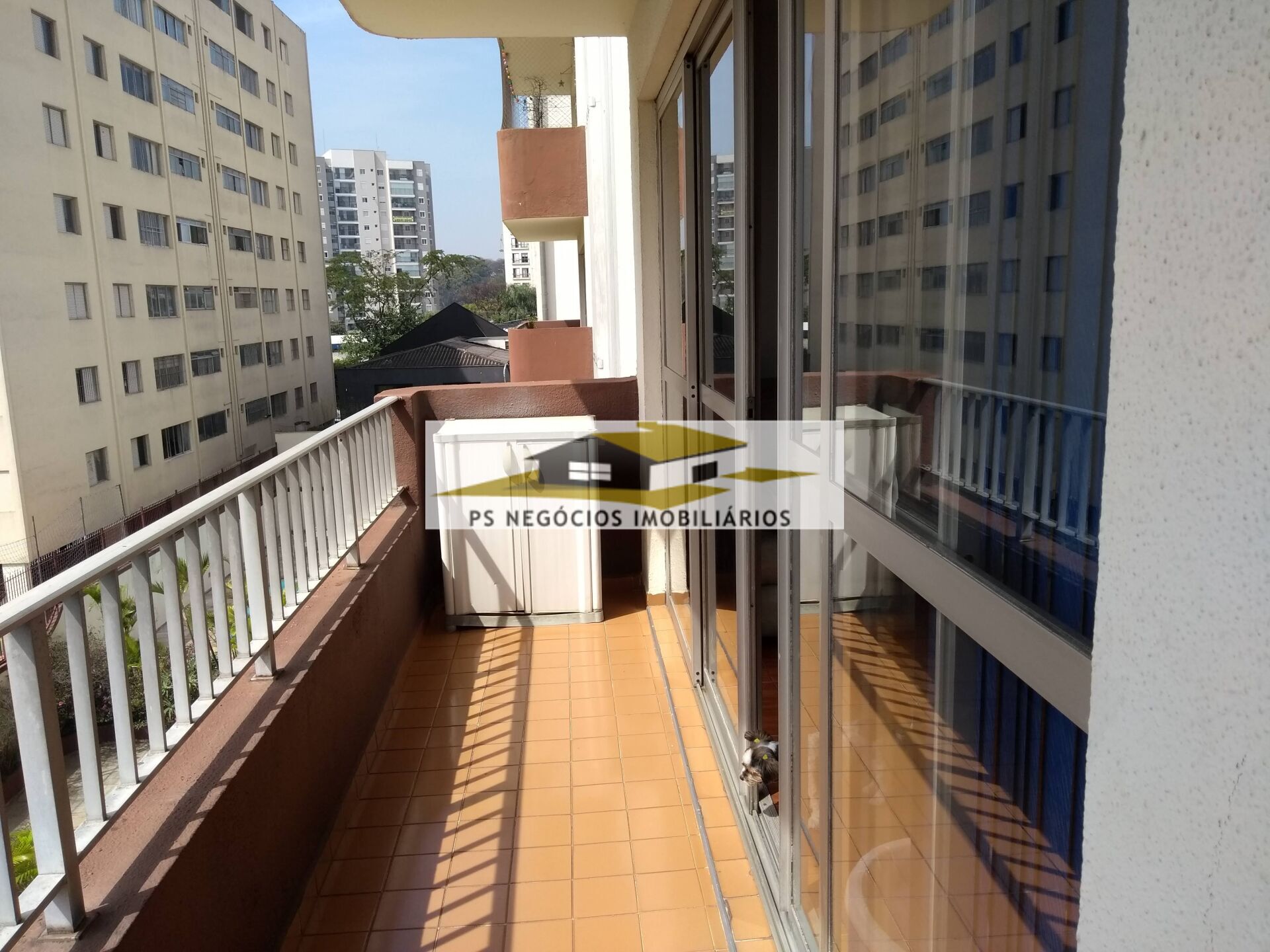 Apartamento à venda com 3 quartos, 122m² - Foto 9