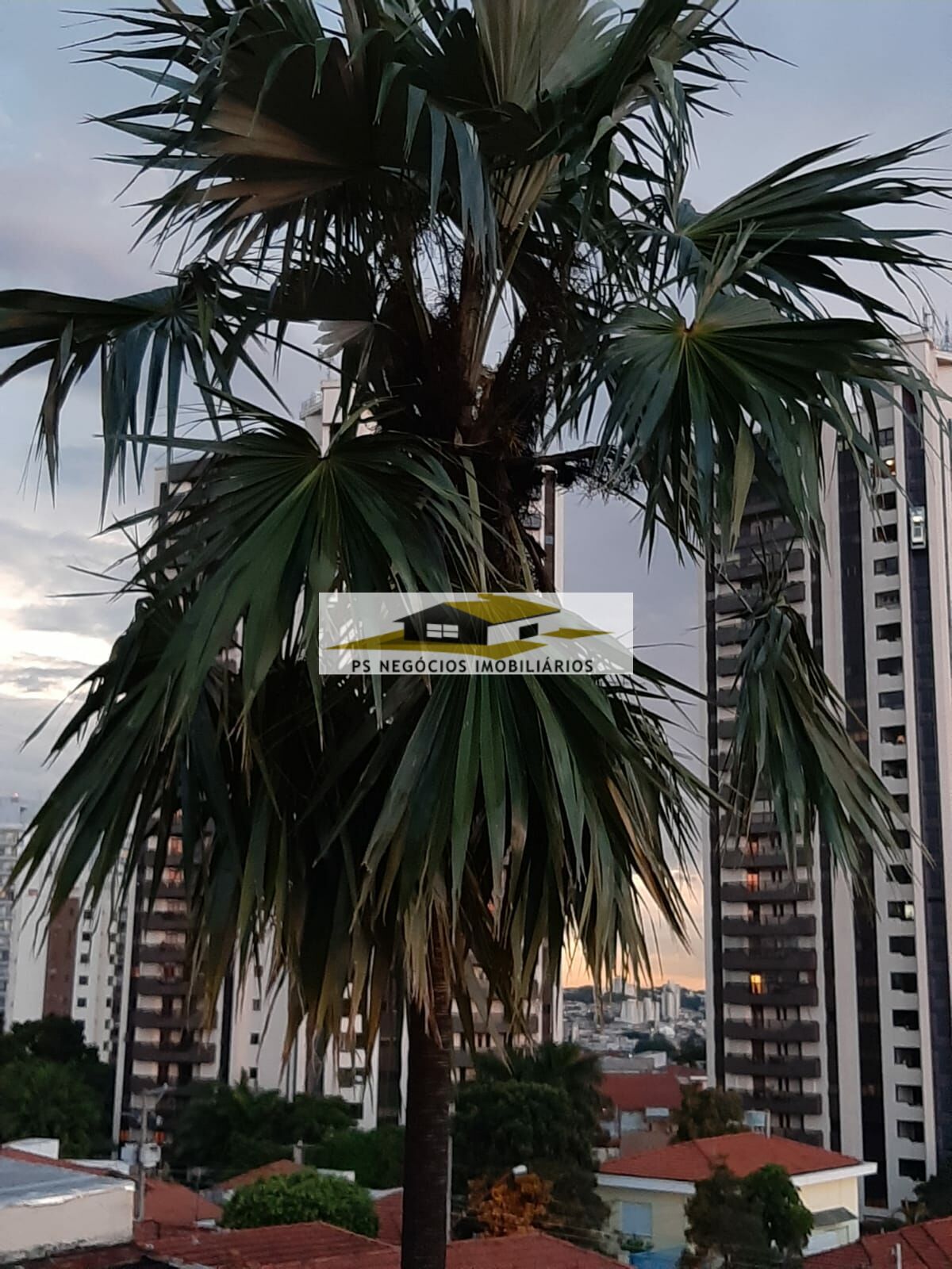 Sobrado, 3 quartos, 340 m² - Foto 39