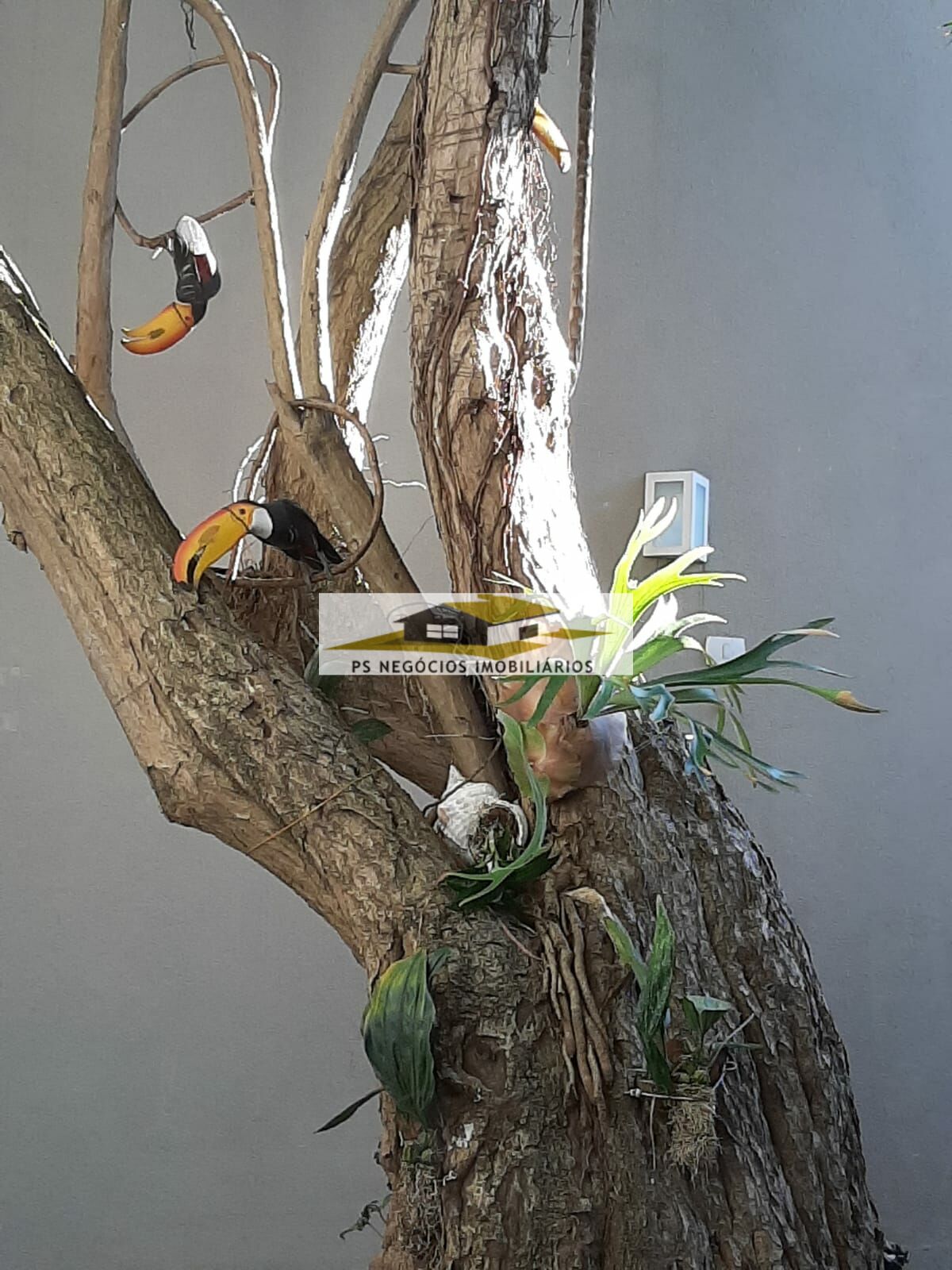 Sobrado, 3 quartos, 340 m² - Foto 9