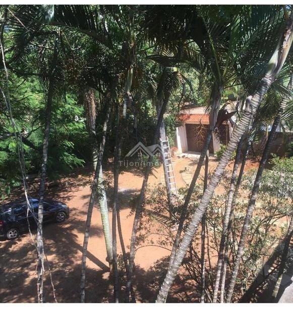 Fazenda à venda com 4 quartos, 1342m² - Foto 14