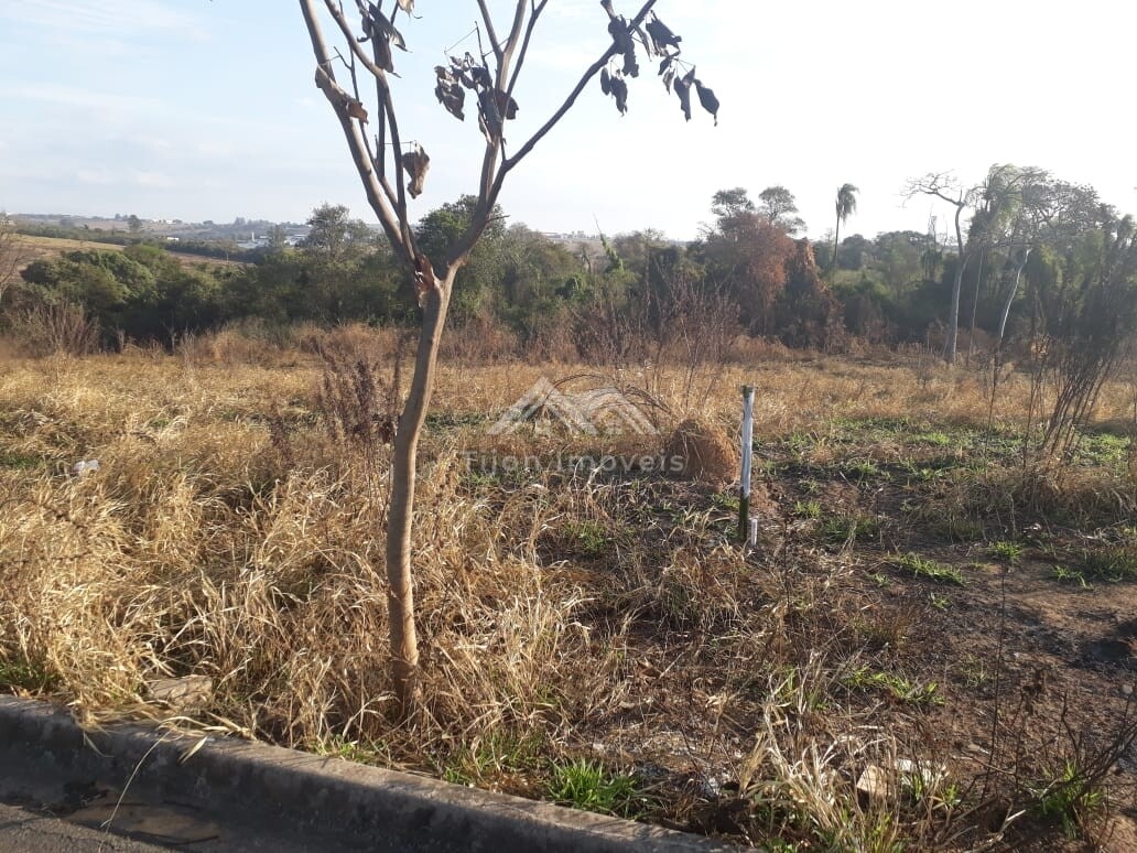 Loteamento e Condomínio à venda, 2000m² - Foto 2