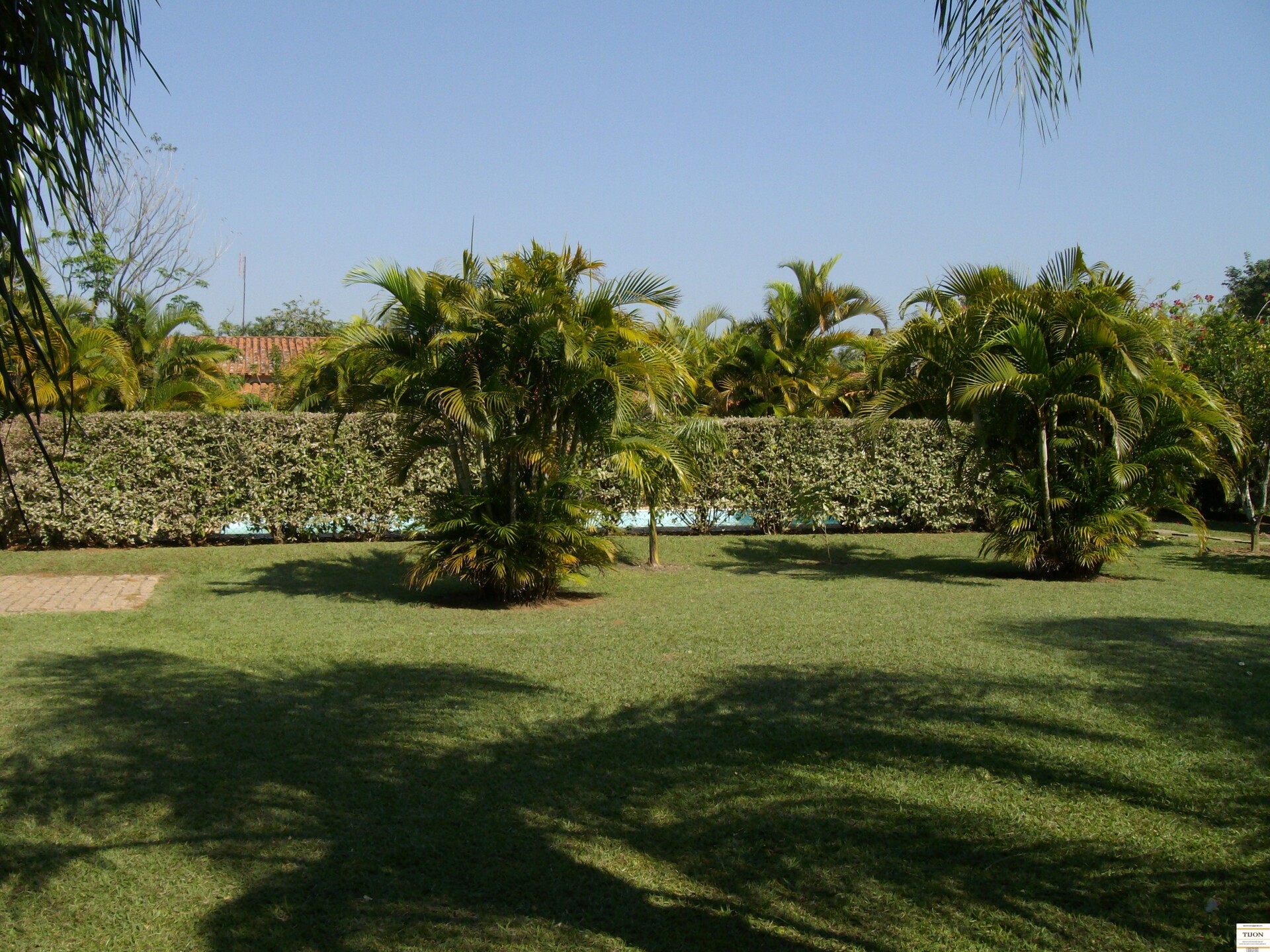 Fazenda à venda com 3 quartos, 2500m² - Foto 3