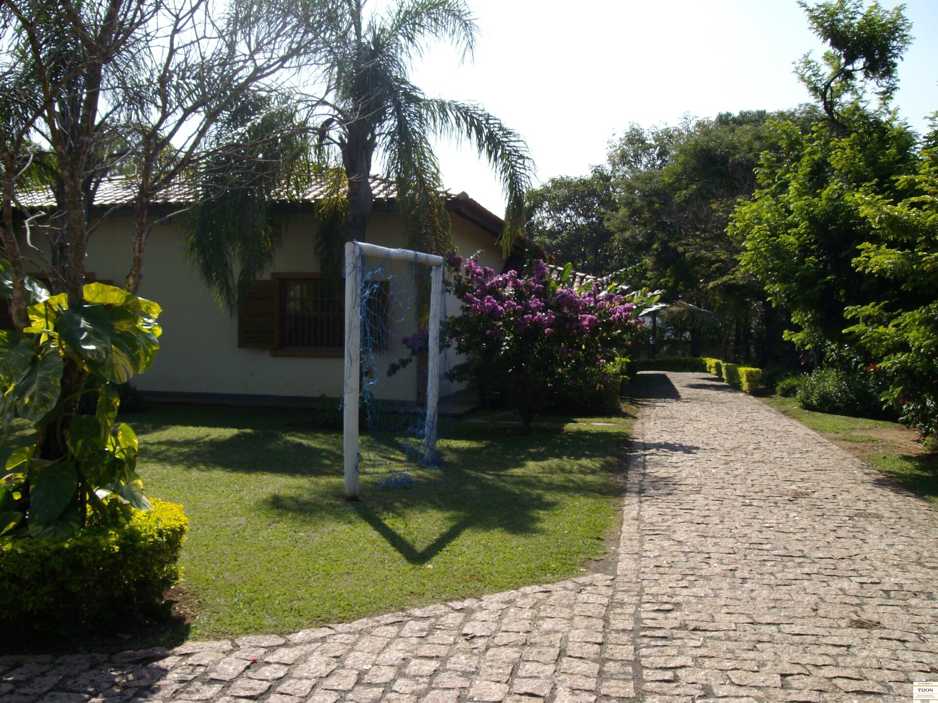 Fazenda à venda com 3 quartos, 2500m² - Foto 5