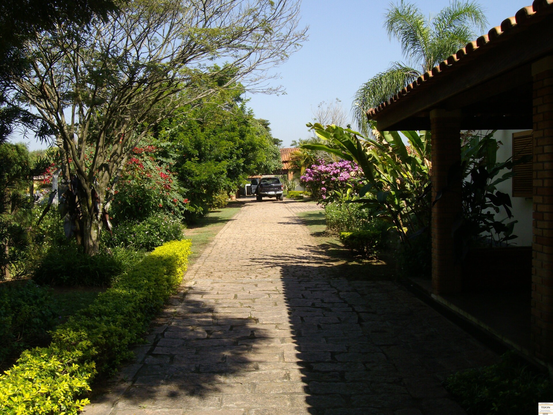 Fazenda à venda com 3 quartos, 2500m² - Foto 10