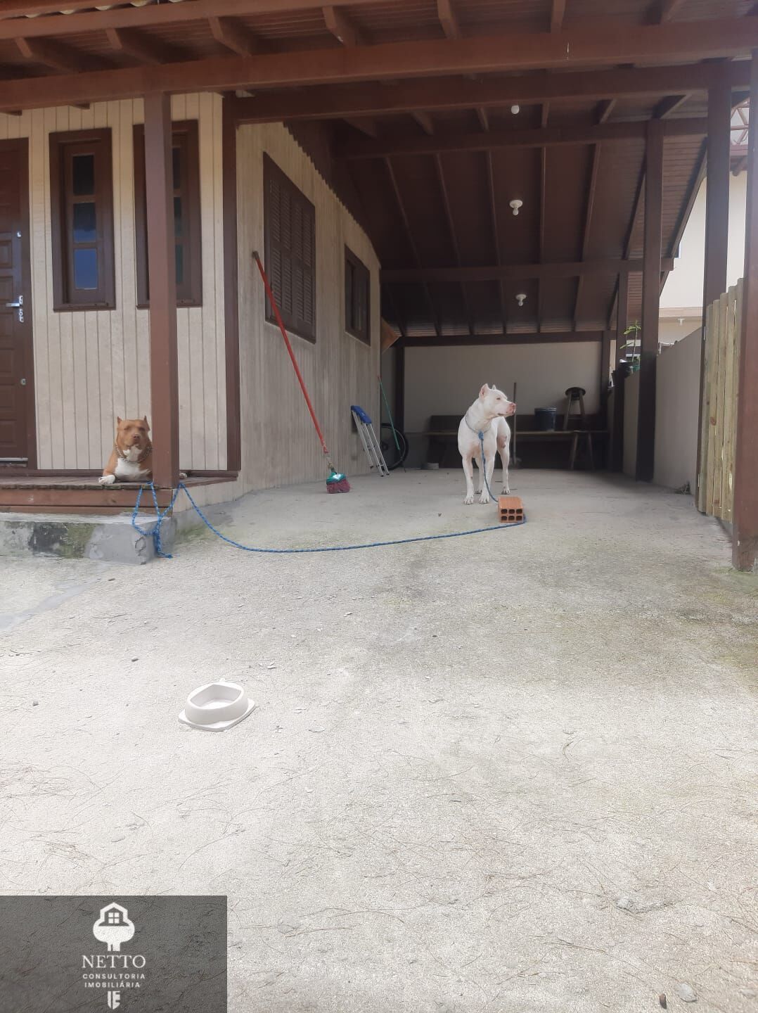 Casa, 6 quartos - Foto 42