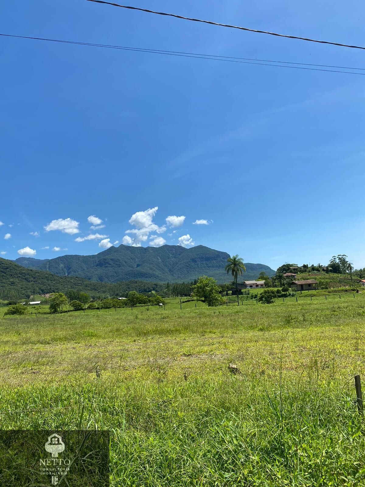 Chácara, 1347 m² - Foto 4