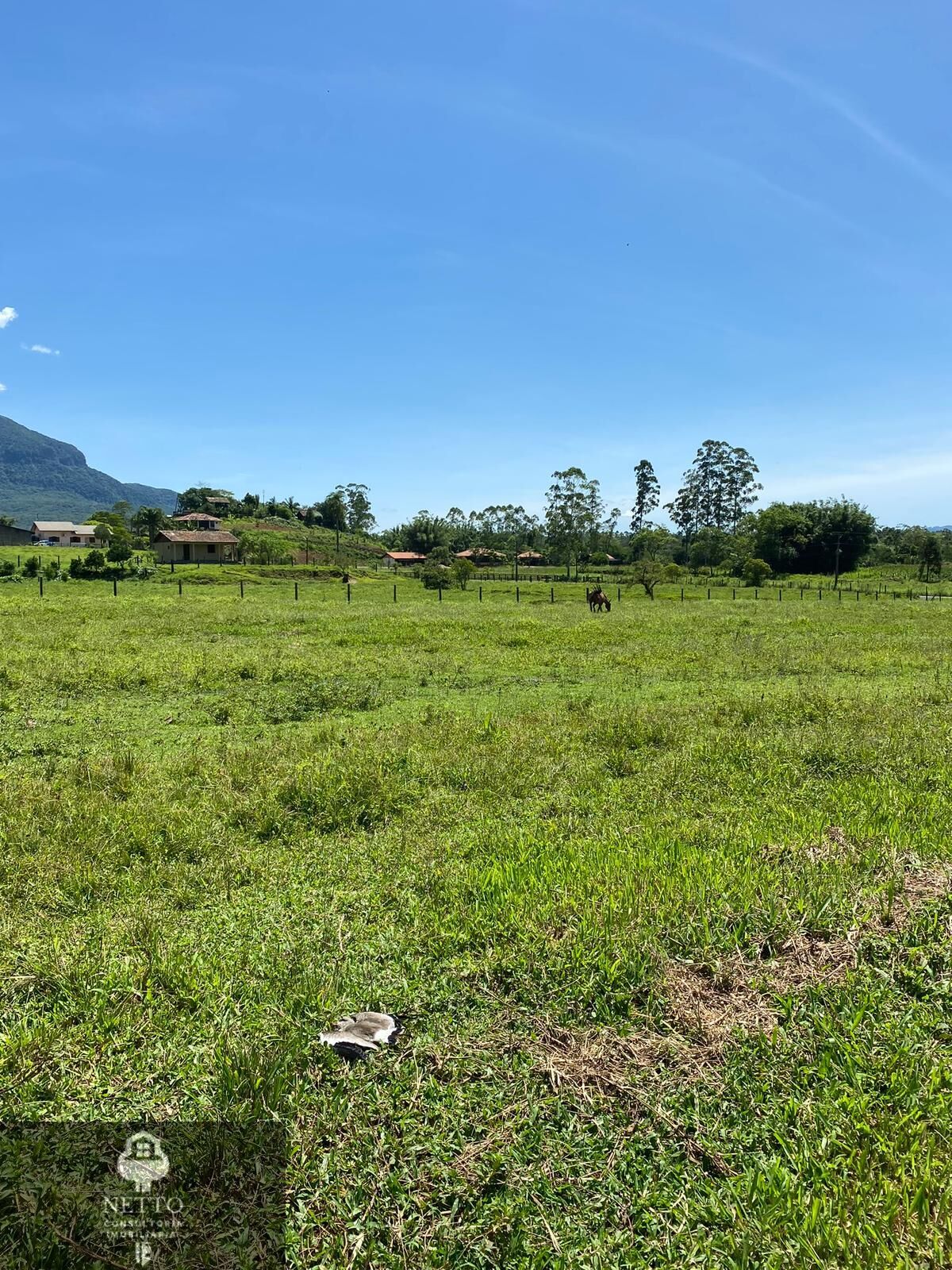 Chácara, 1347 m² - Foto 8