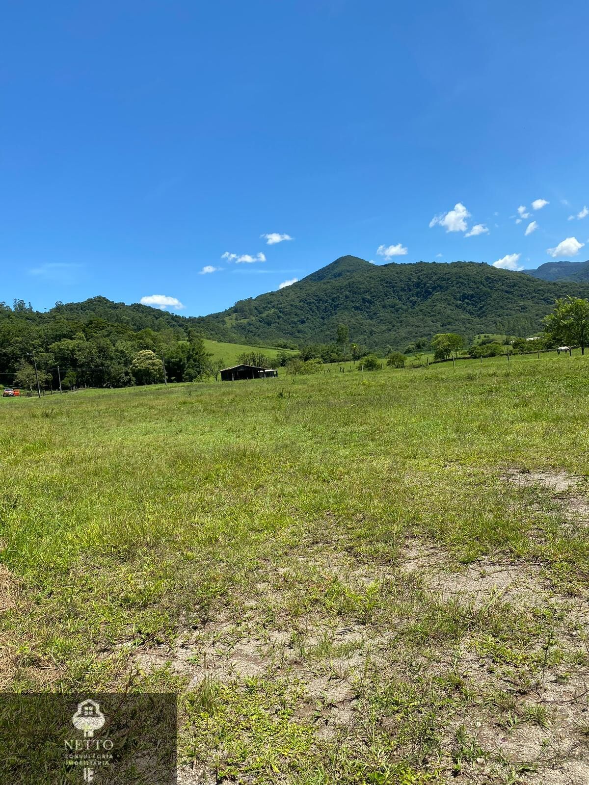 Chácara, 1347 m² - Foto 10