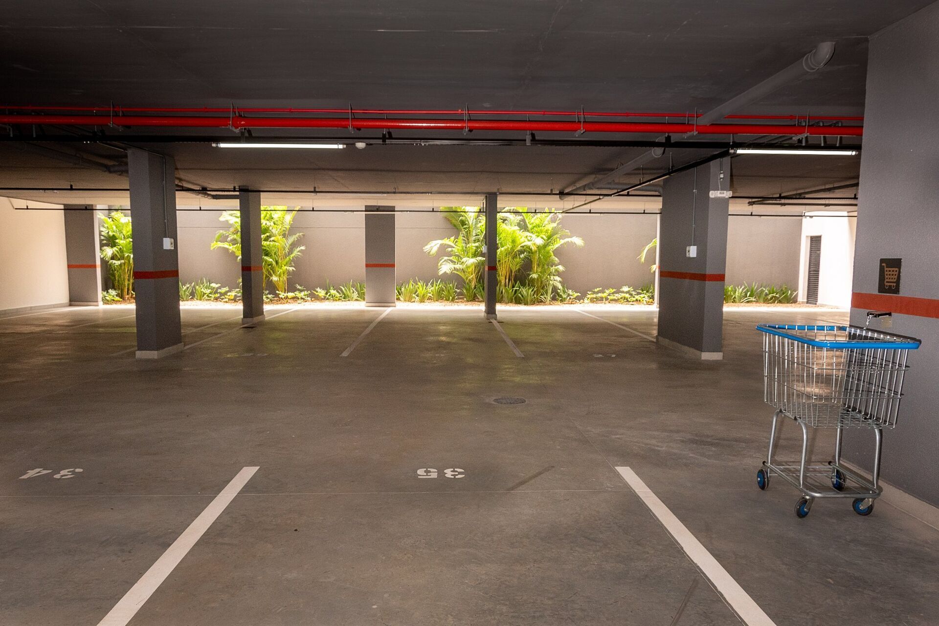 Apartamento, 3 quartos, 78 m² - Foto 5