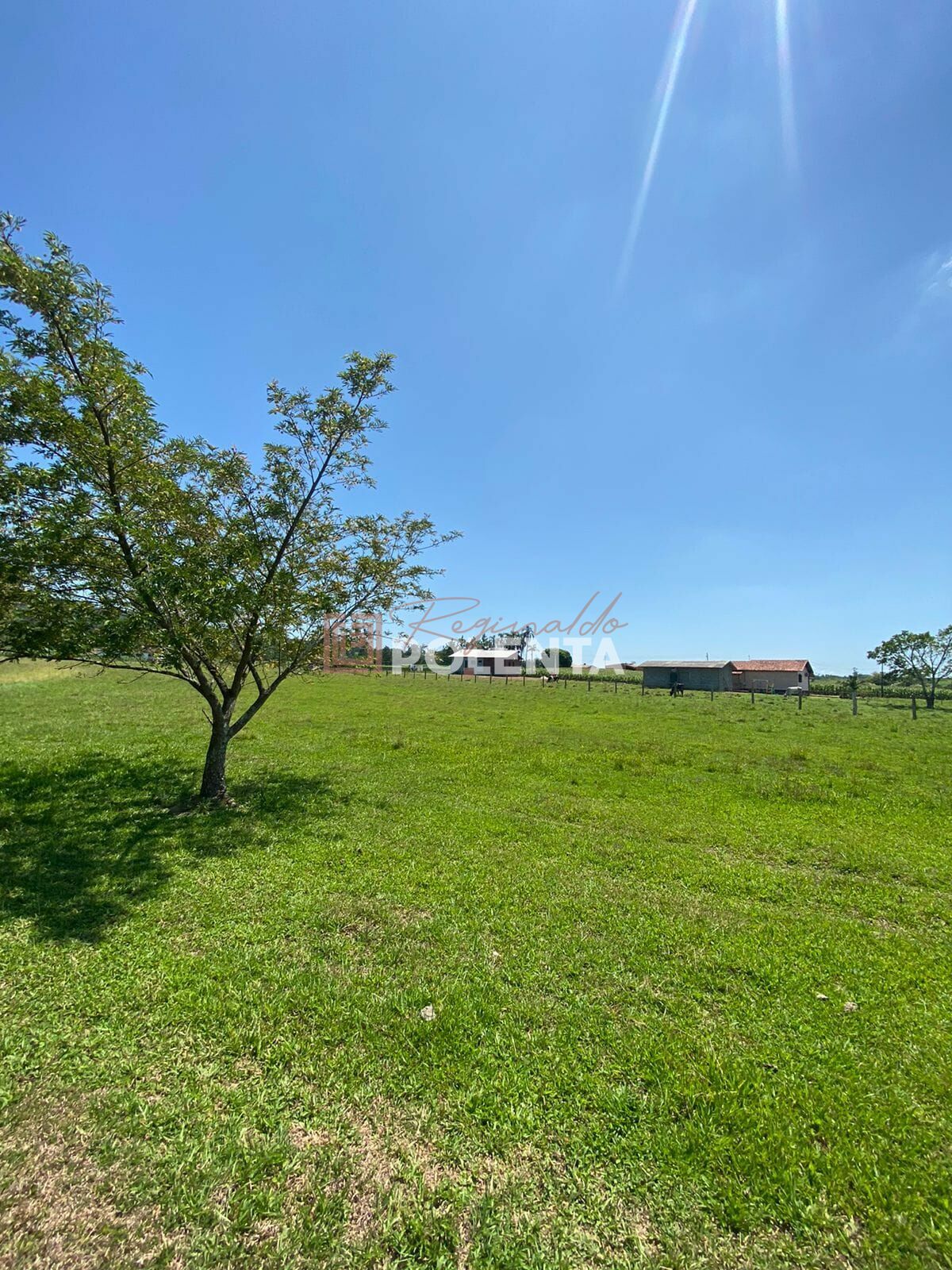 Sítio, 3 quartos, 4 hectares - Foto 1