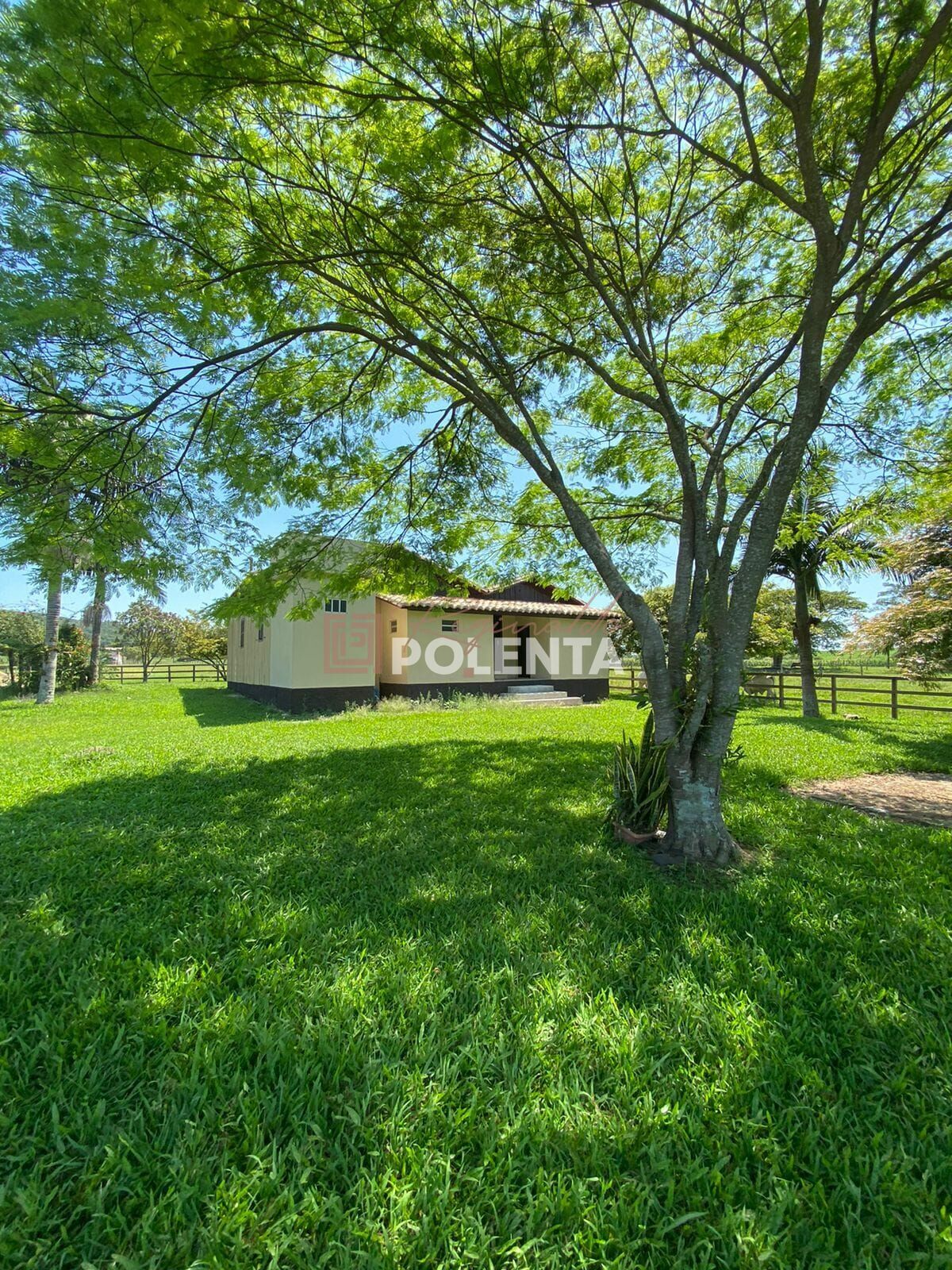 Sítio, 3 quartos, 4 hectares - Foto 3