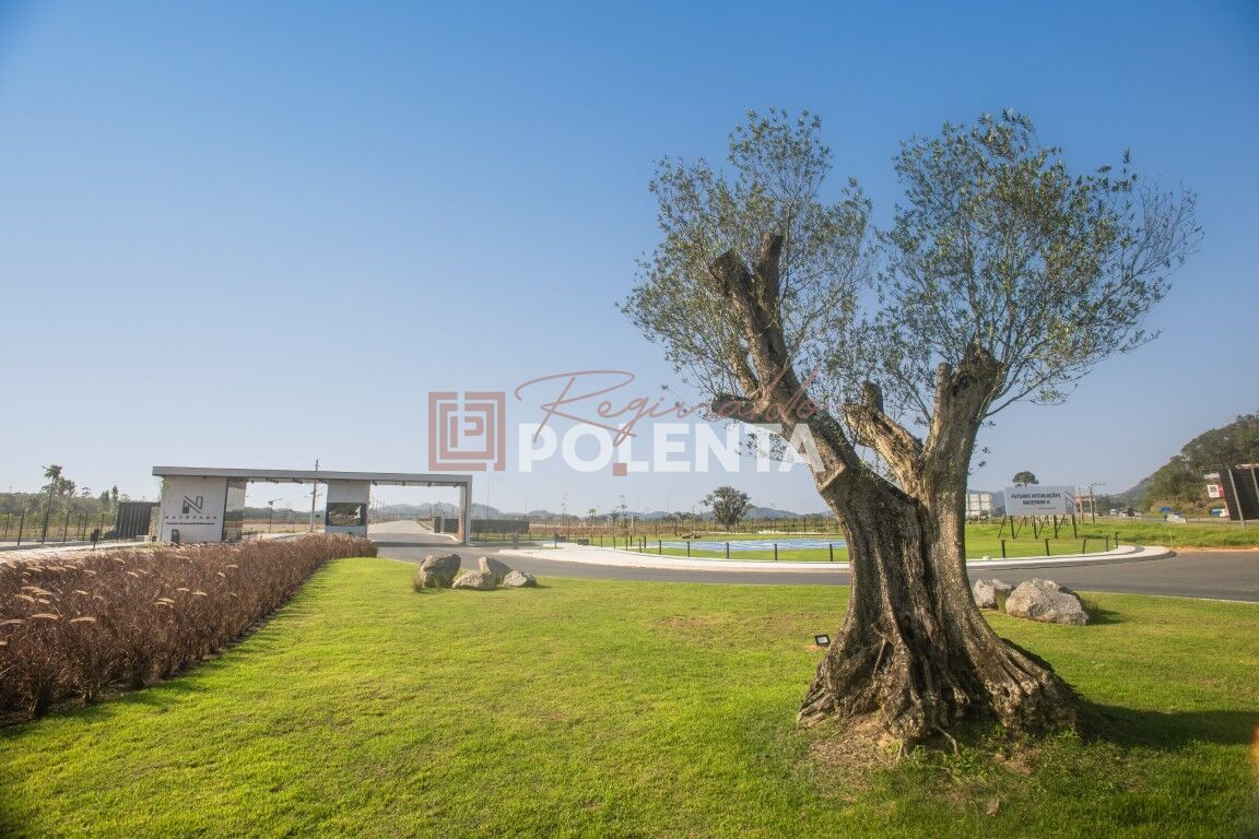 Depósito-Galpão-Armazém à venda, 4000m² - Foto 2