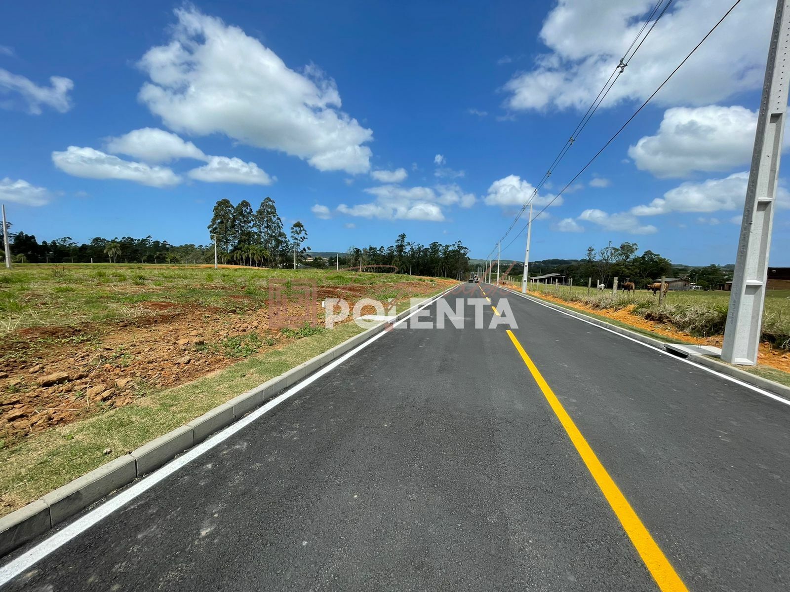 Terreno à venda, 360m² - Foto 4