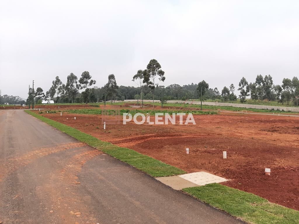 Terreno à venda, 560m² - Foto 2