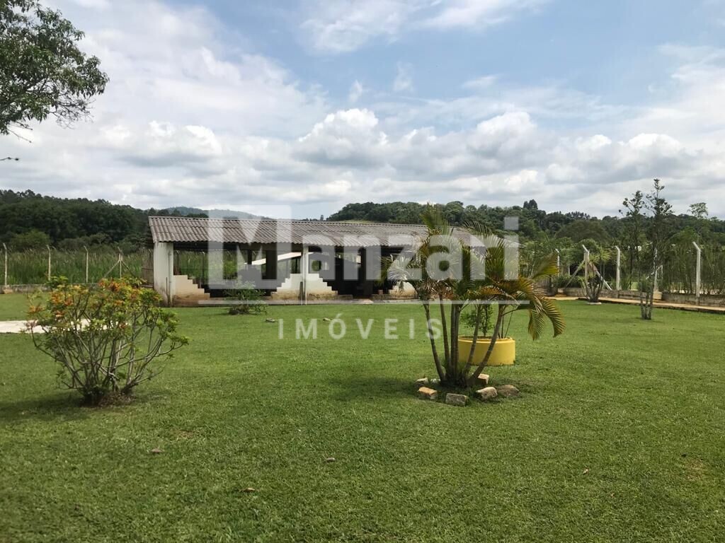 Fazenda à venda com 6 quartos, 2500m² - Foto 6