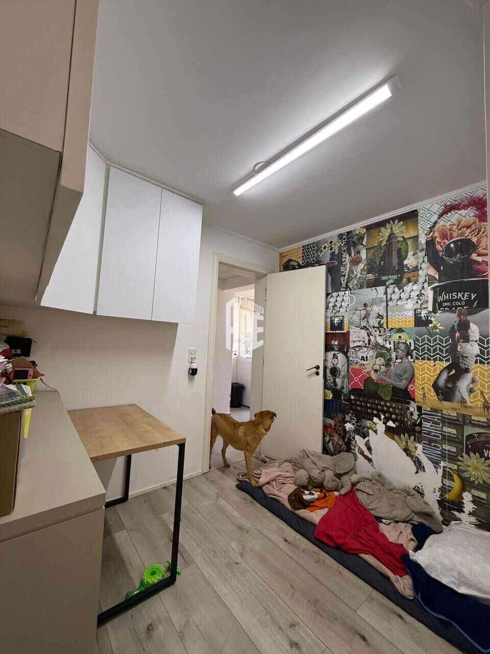 Apartamento, 5 quartos, 200 m² - Foto 61