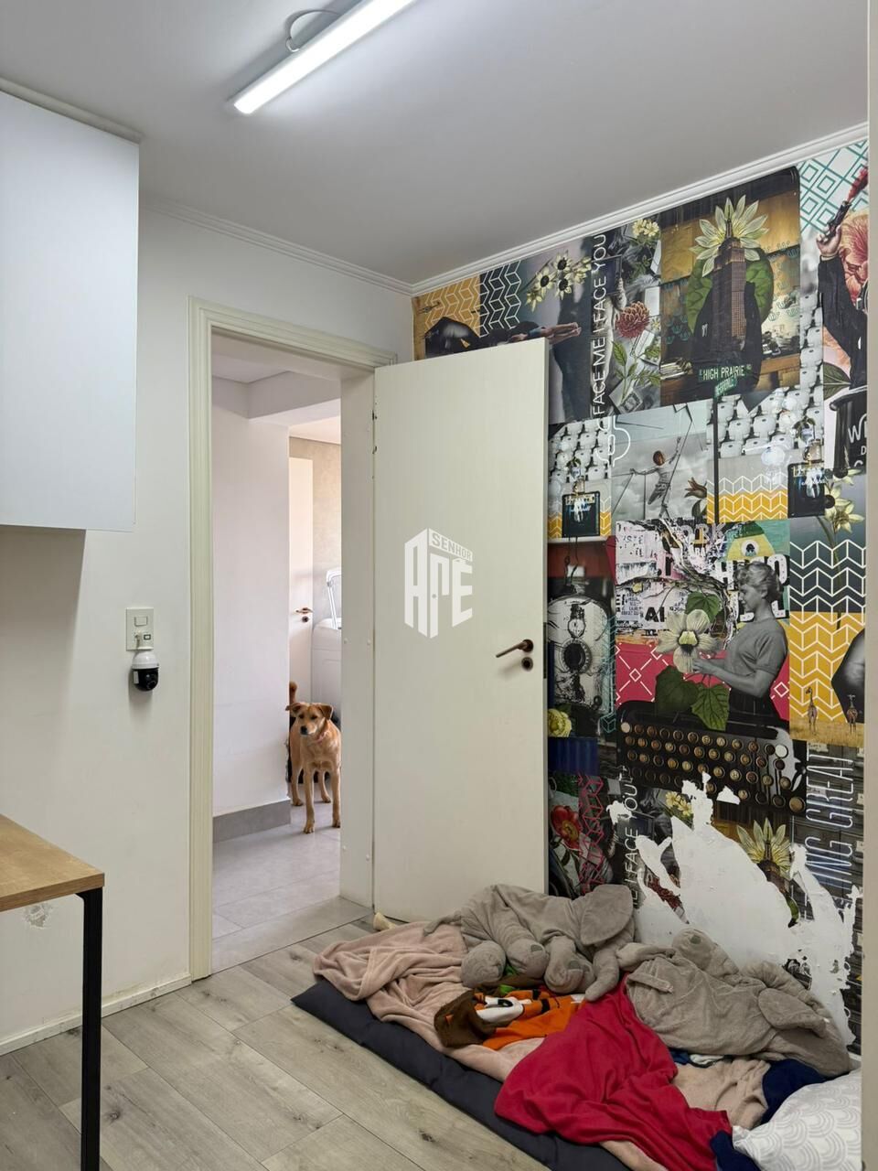 Apartamento, 5 quartos, 200 m² - Foto 54
