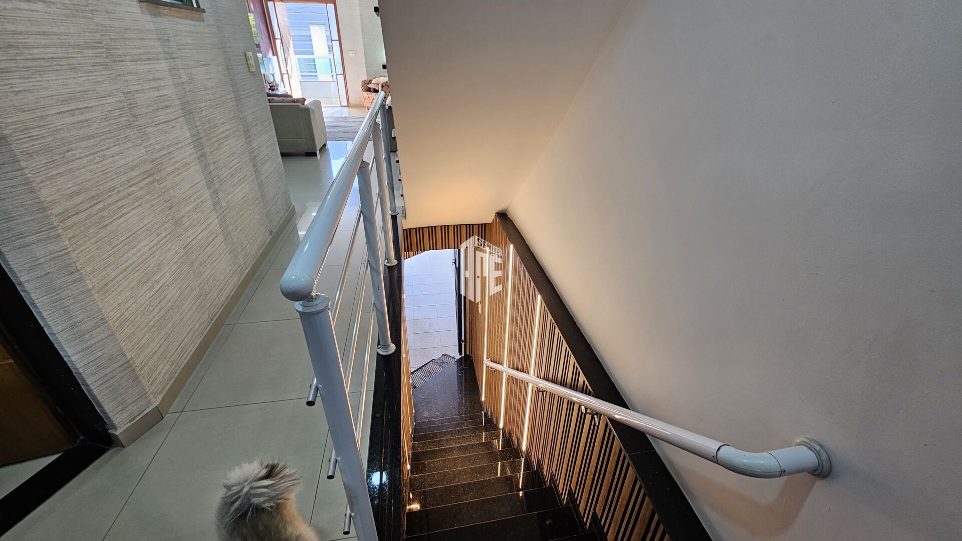 Casa, 3 quartos, 250 m² - Foto 13