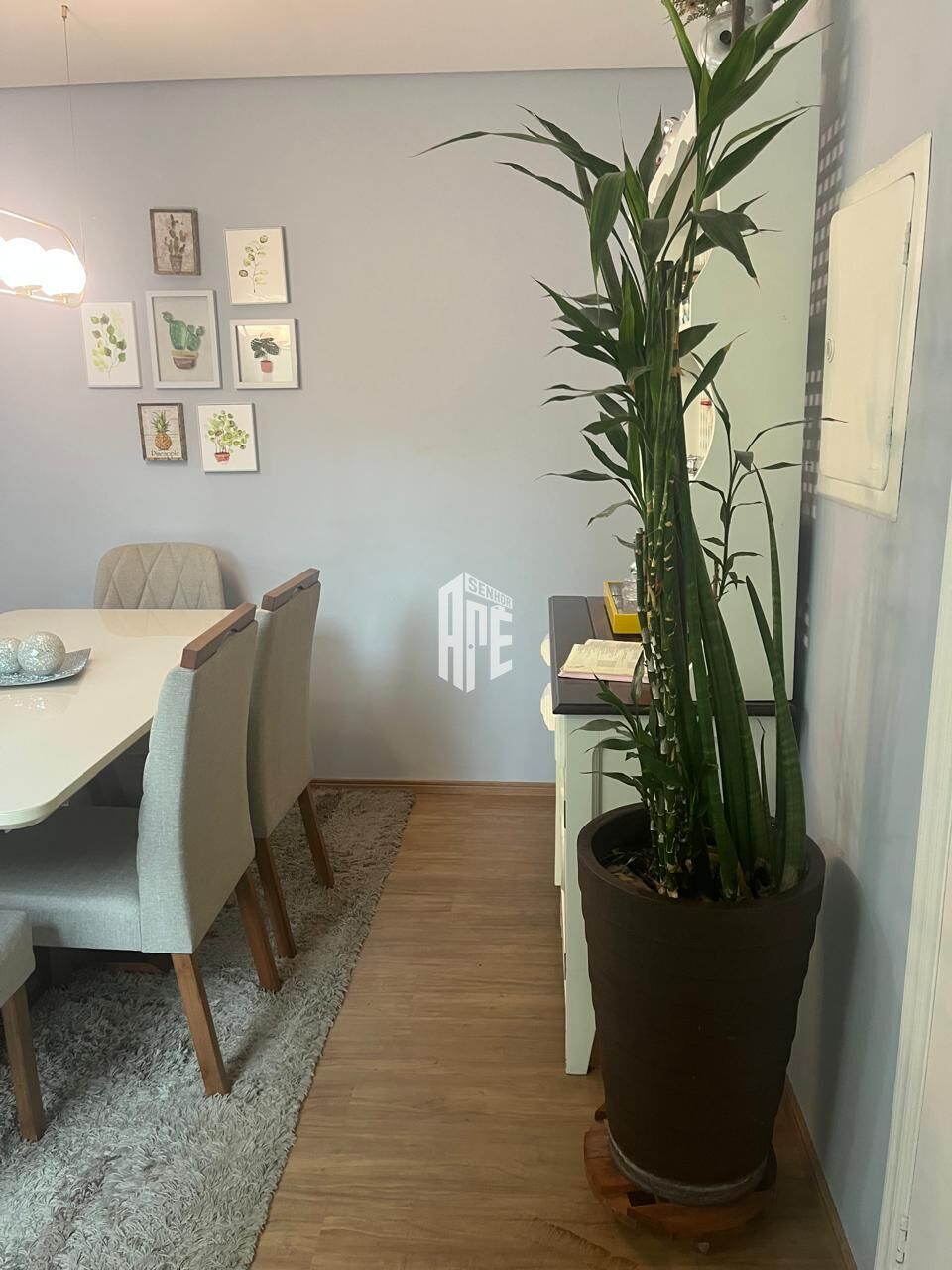 Apartamento, 3 quartos, 75 m² - Foto 33