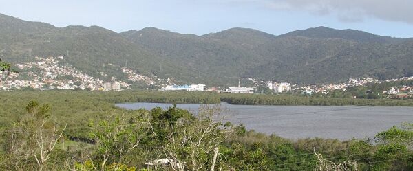 Bairro Saco Grande em Florianópolis – guia para morar e investir