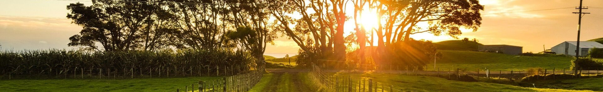 Alexandre Brandão Corretor de imóveis