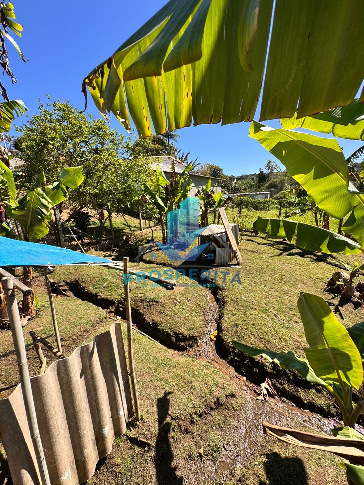 Chácara, 2 quartos - Foto 6