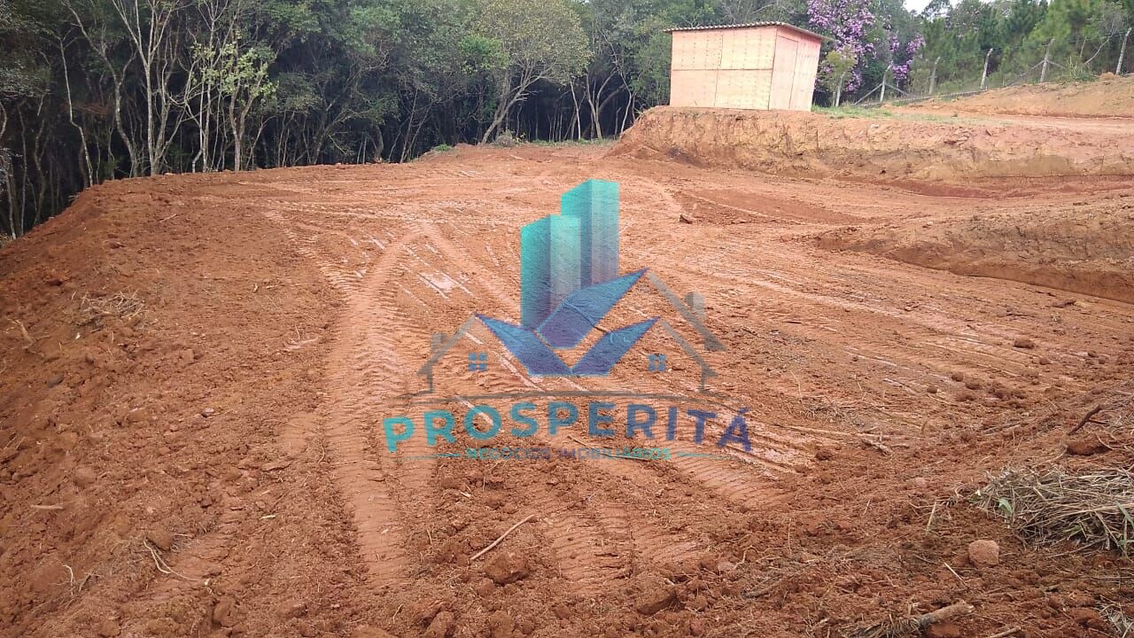 Terreno à venda, 2500m² - Foto 1