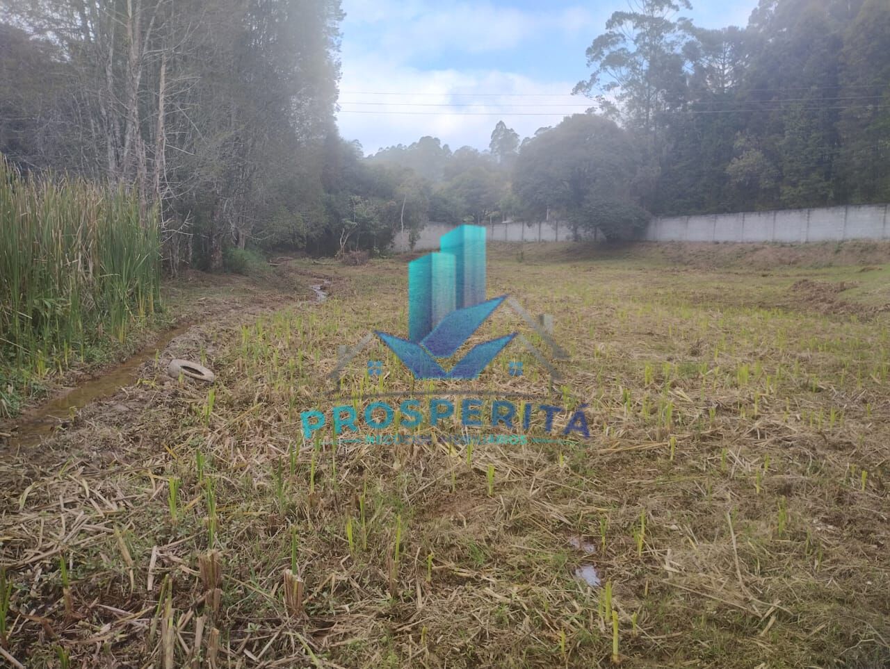 Terreno, 2465 m² - Foto 5