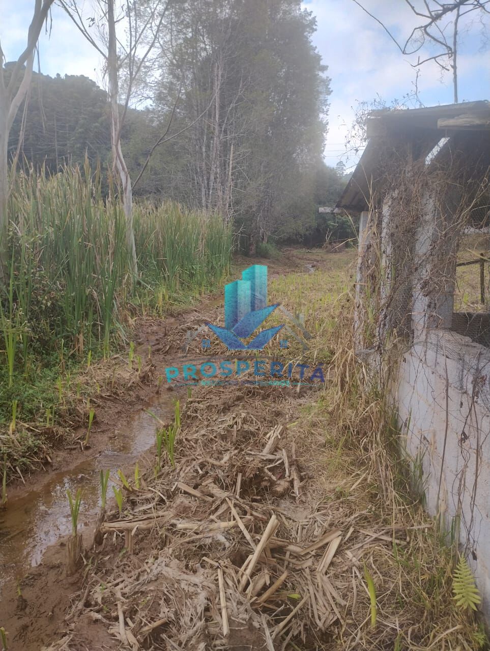 Terreno, 2465 m² - Foto 11