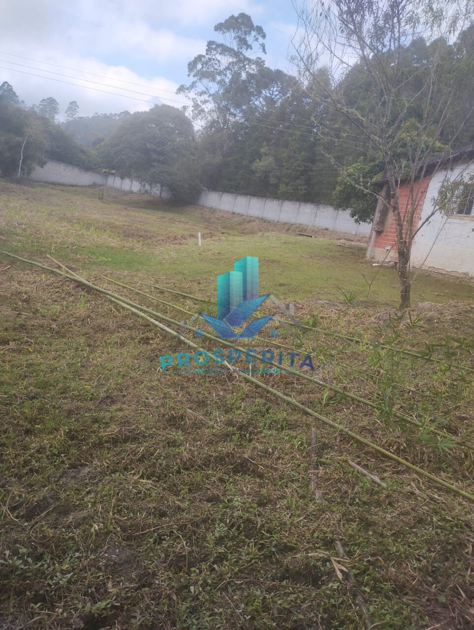 Terreno, 2465 m² - Foto 8