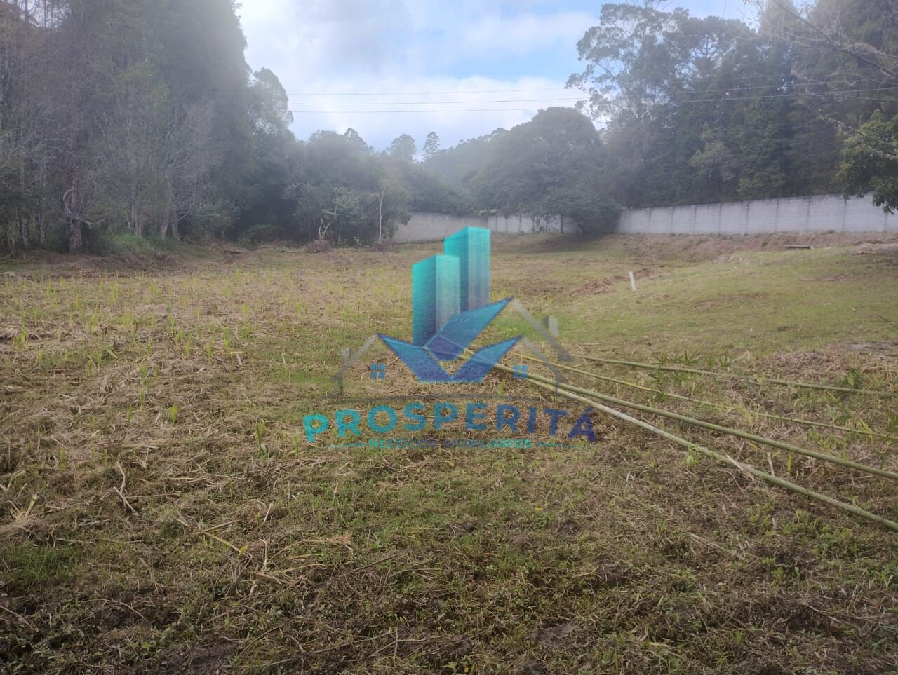 Terreno, 2465 m² - Foto 7