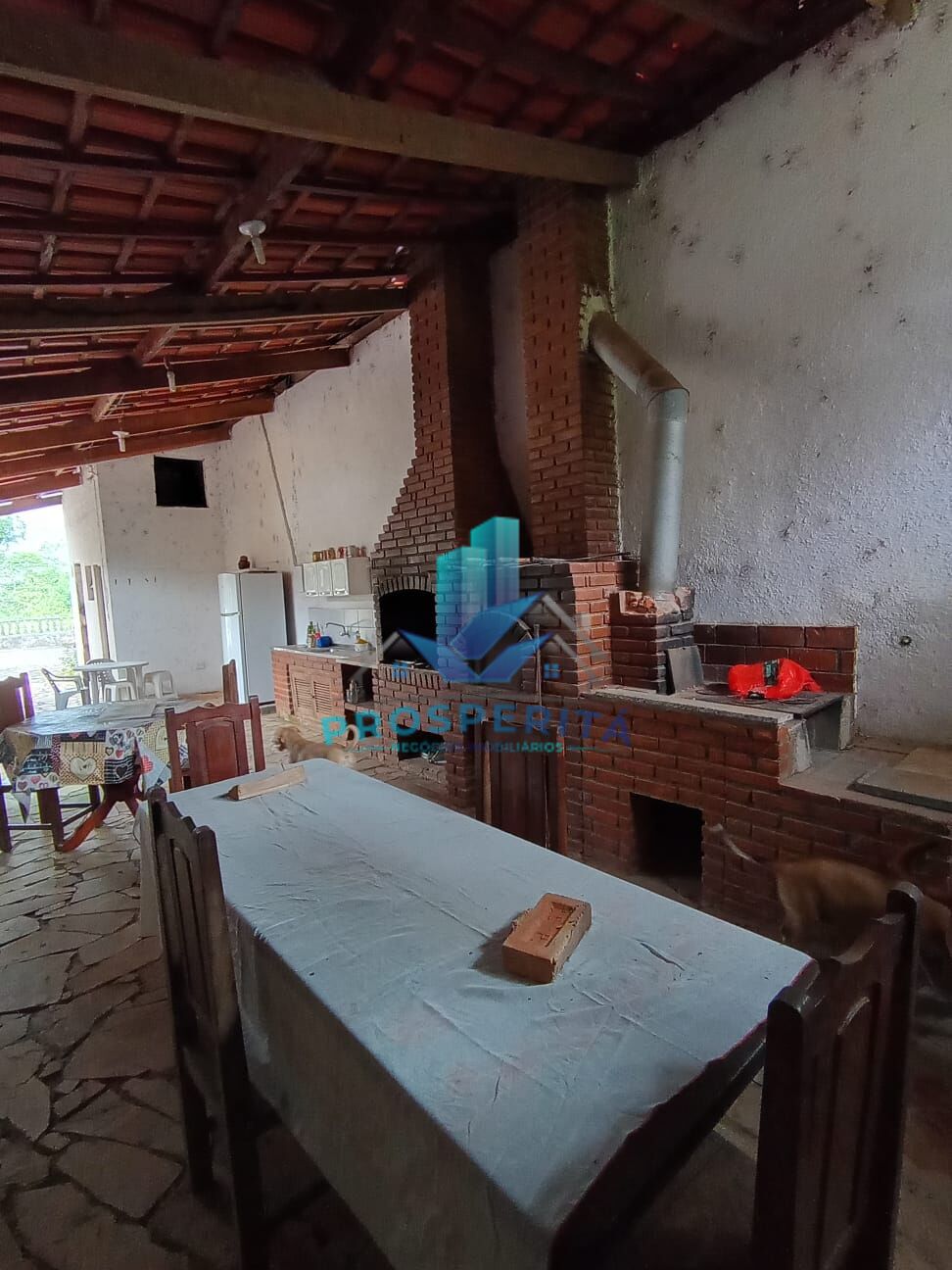 Sítio, 4 quartos, 3300 m² - Foto 22