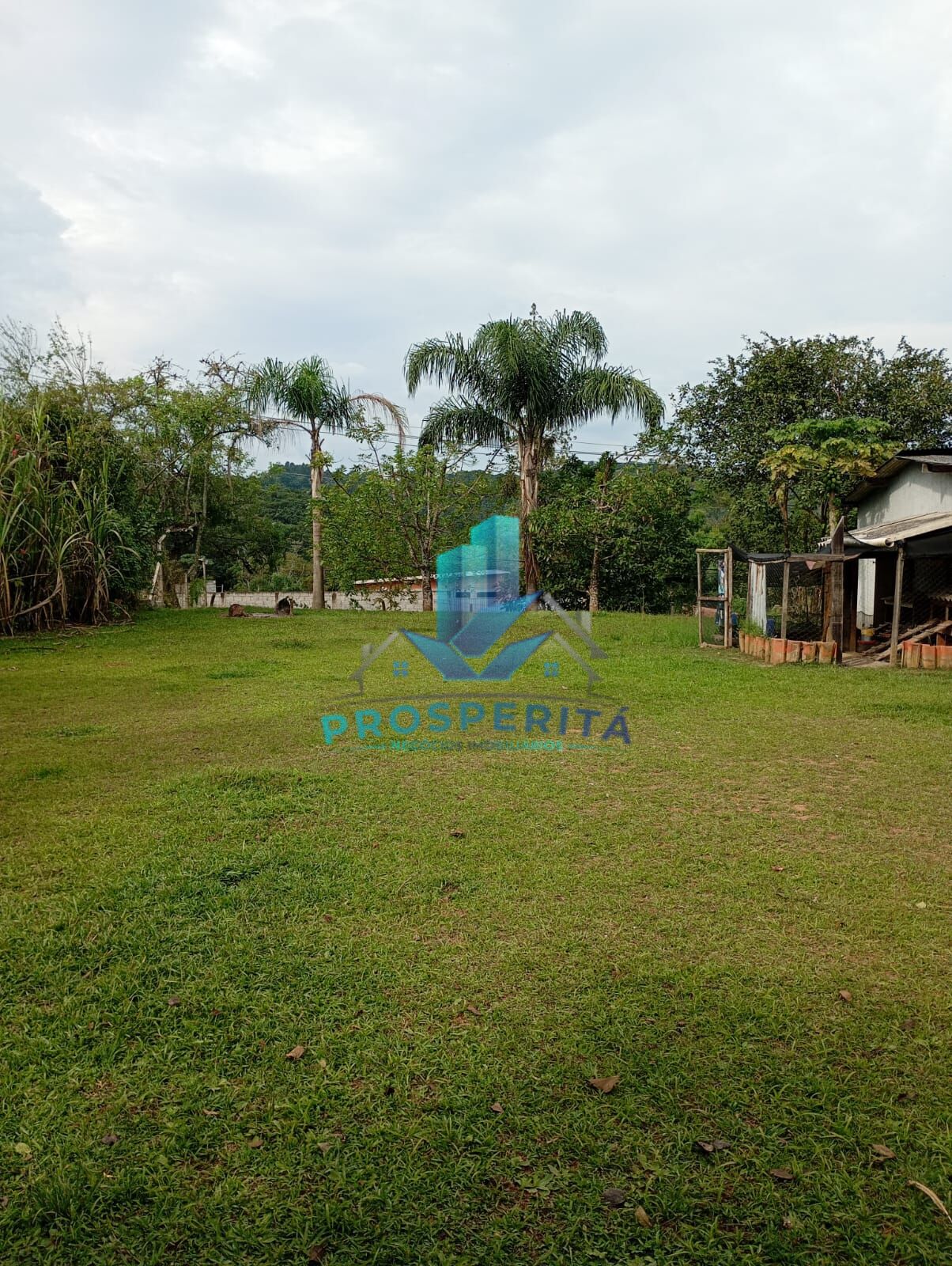 Sítio, 4 quartos, 3300 m² - Foto 15