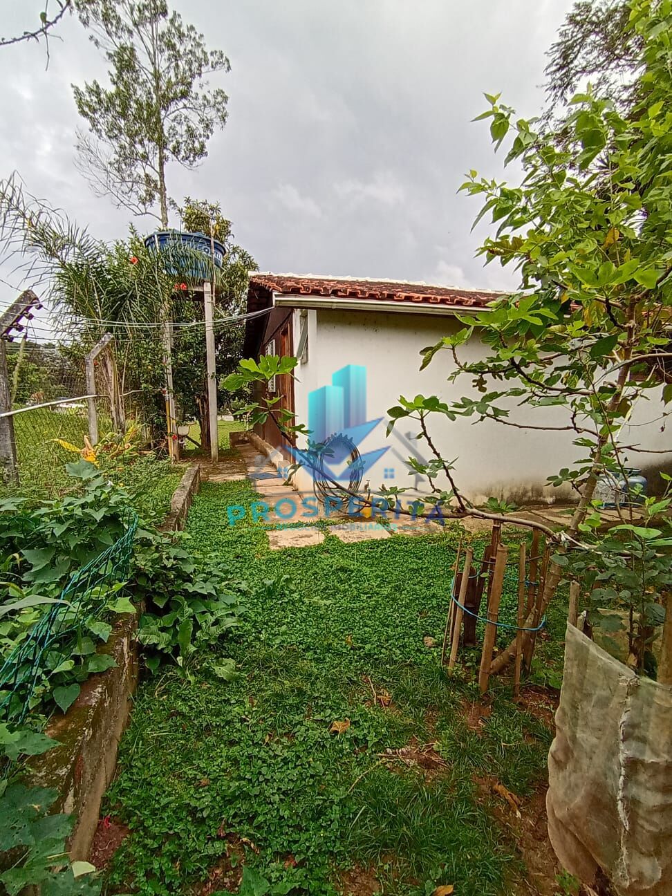 Sítio, 4 quartos, 3300 m² - Foto 23