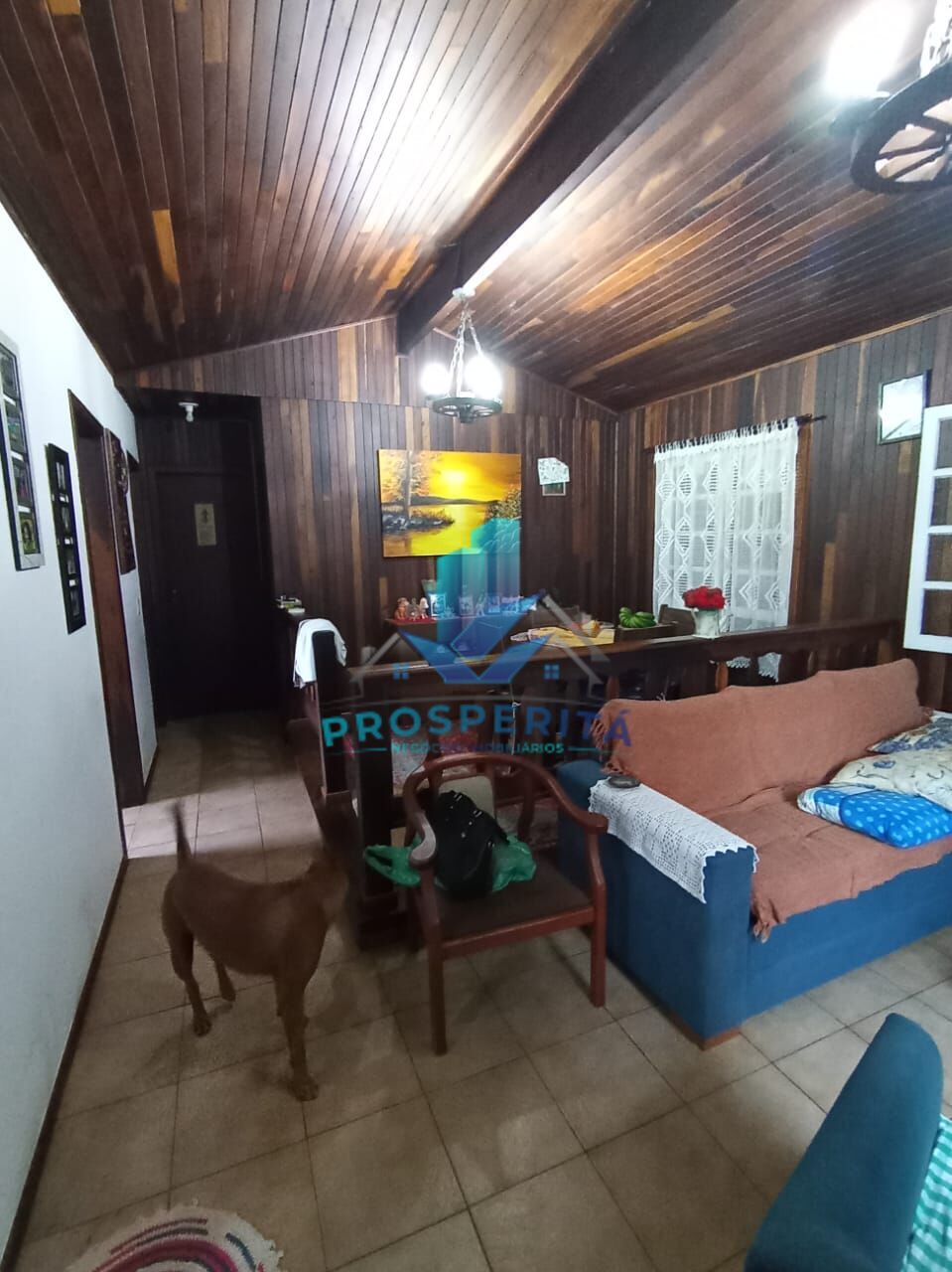 Sítio, 4 quartos, 3300 m² - Foto 19