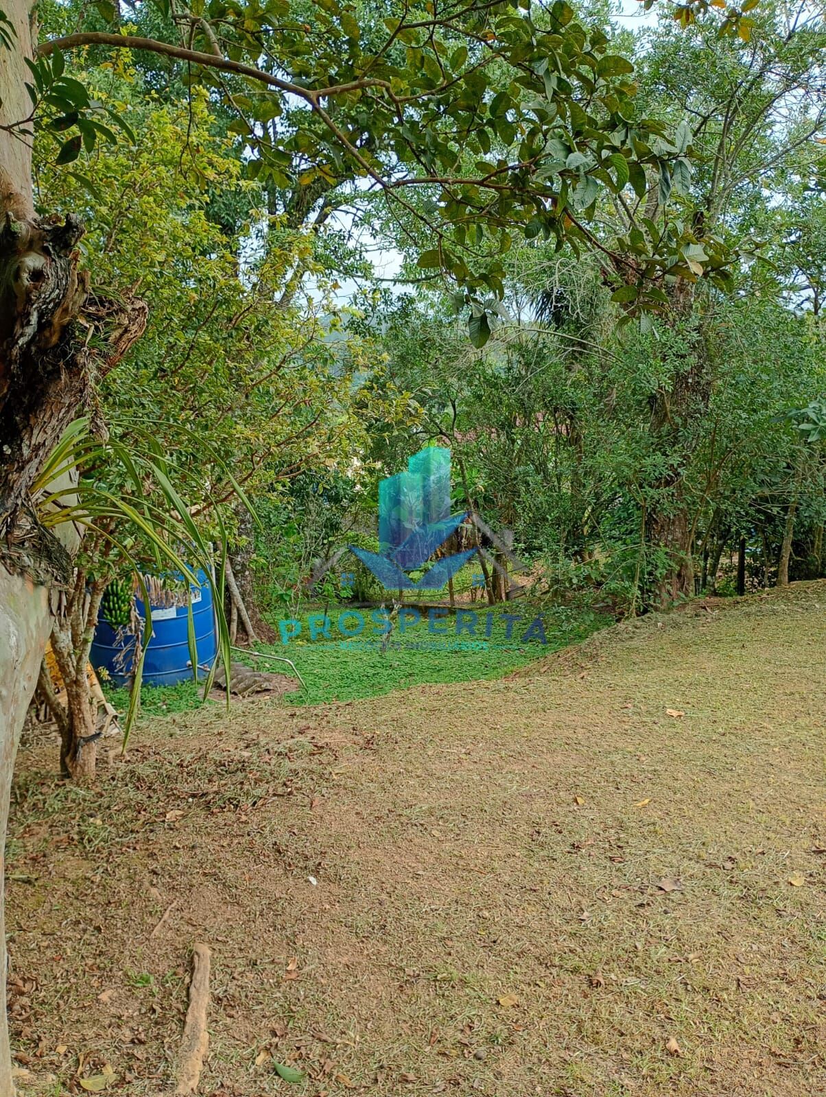Sítio, 4 quartos, 3300 m² - Foto 16