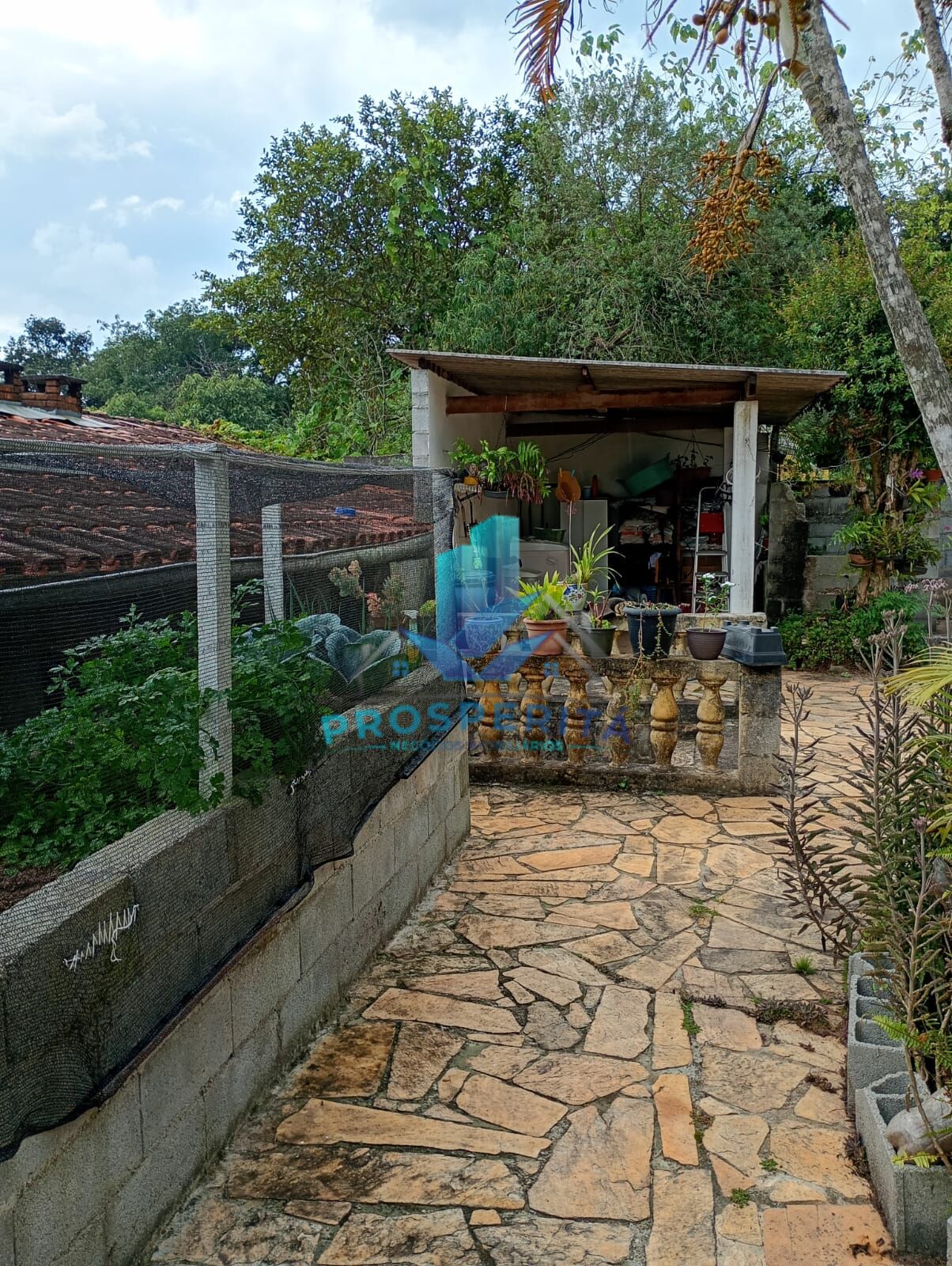 Sítio, 4 quartos, 3300 m² - Foto 39