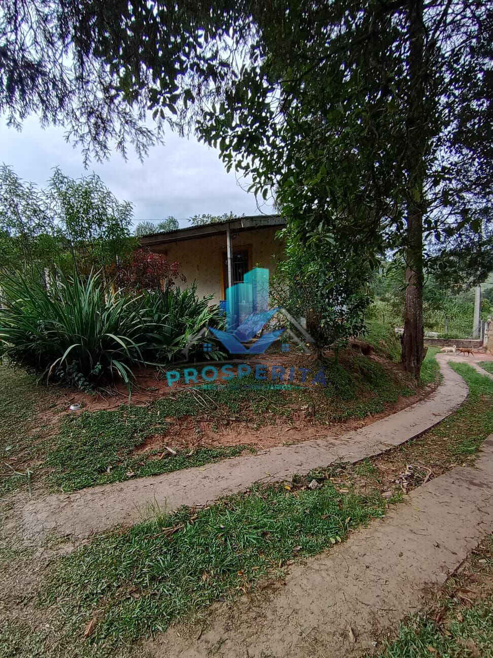 Sítio, 4 quartos, 3300 m² - Foto 43
