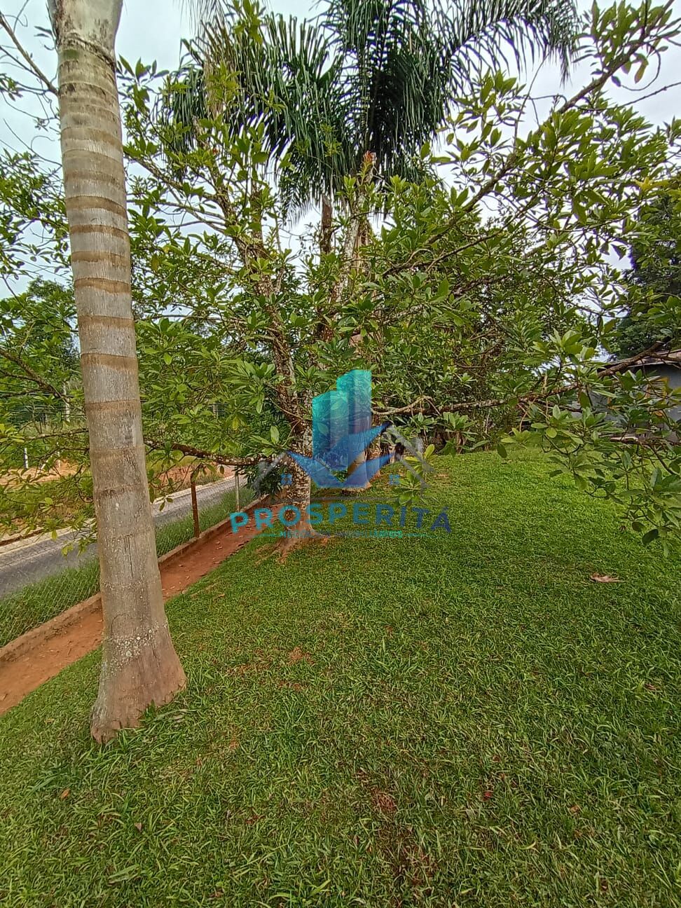 Sítio, 4 quartos, 3300 m² - Foto 42