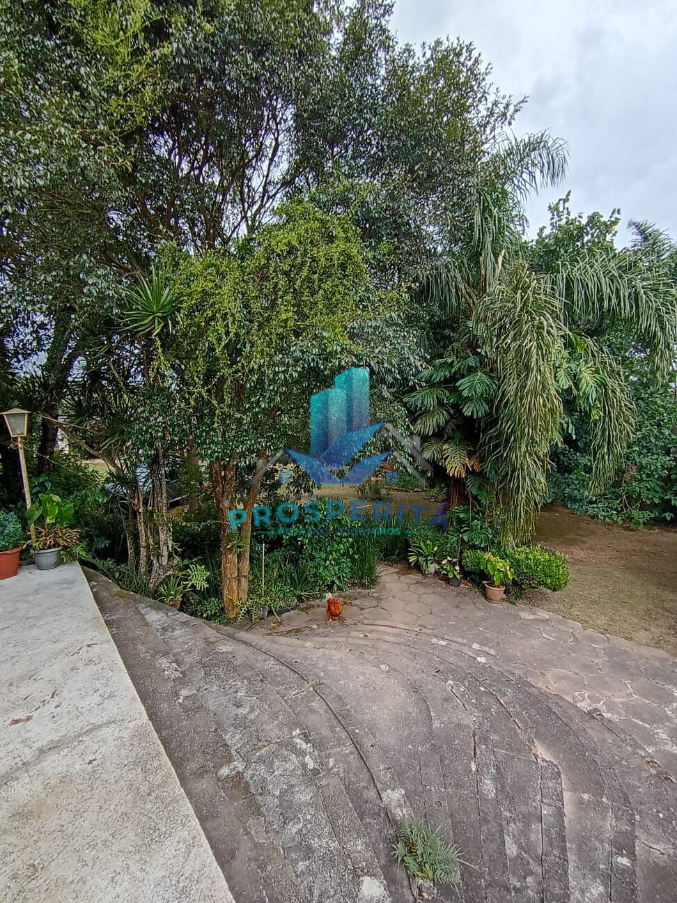 Sítio, 4 quartos, 3300 m² - Foto 40
