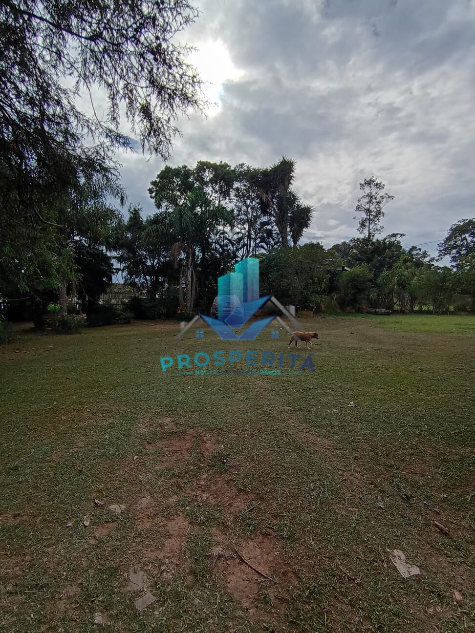 Sítio, 4 quartos, 3300 m² - Foto 5