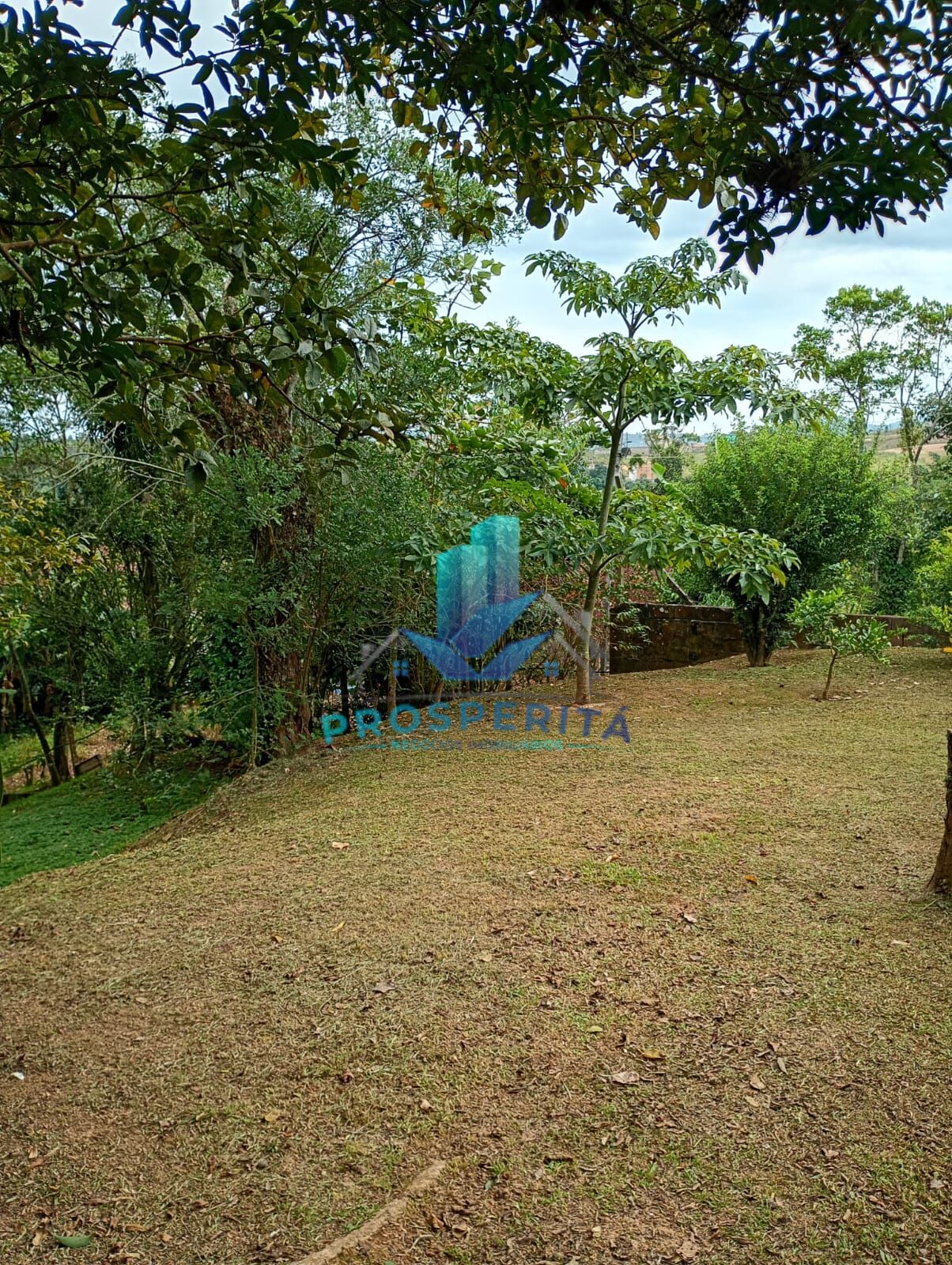 Sítio, 4 quartos, 3300 m² - Foto 29