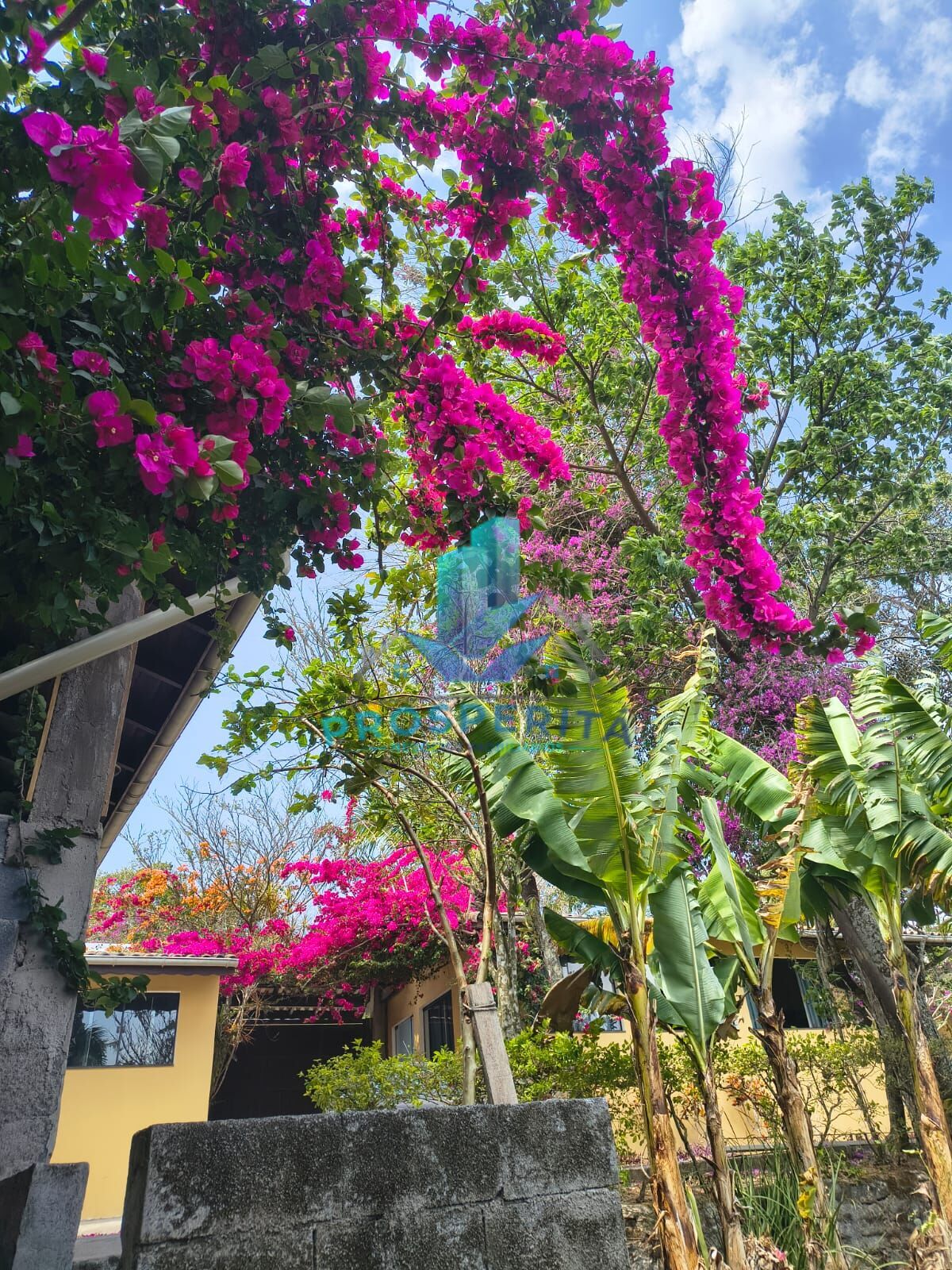 Casa, 1 quarto - Foto 6