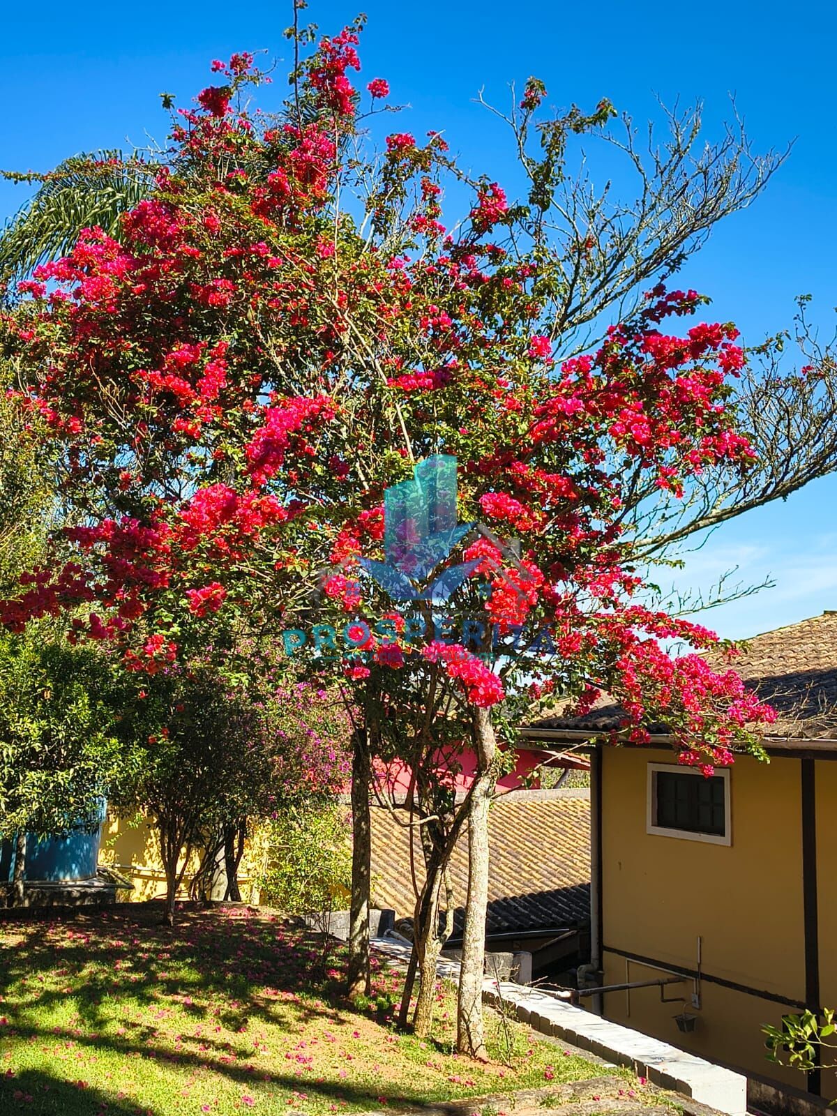 Casa, 1 quarto - Foto 5